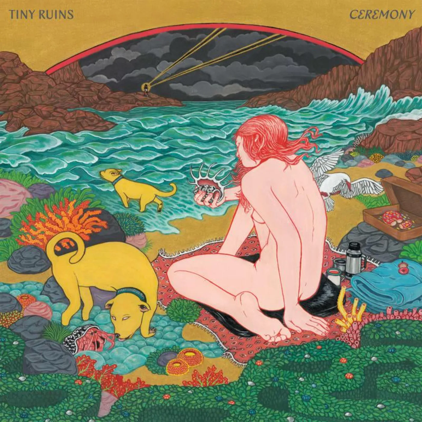 Tiny Ruins LP - Ceremony (Vinyl)