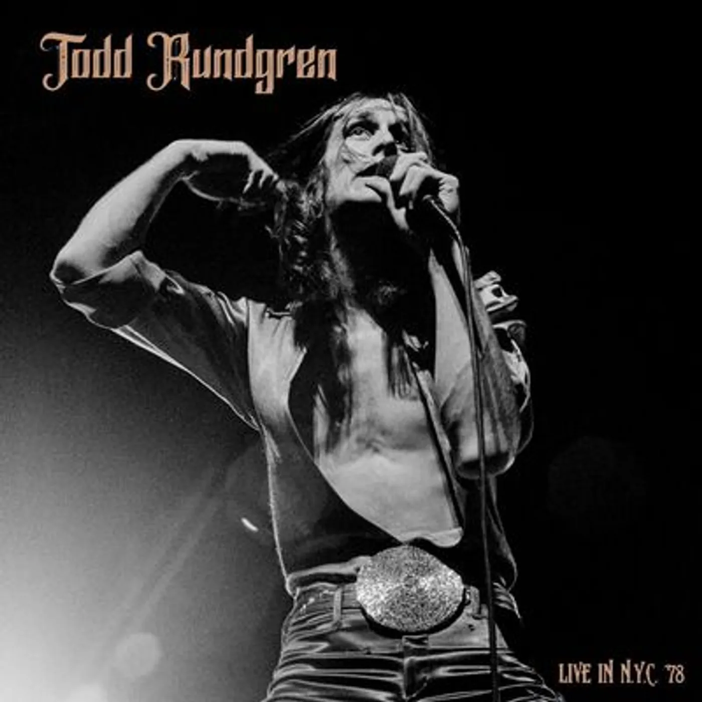 Todd Rundgren LP - Live in NYC 78 (Vinyl)