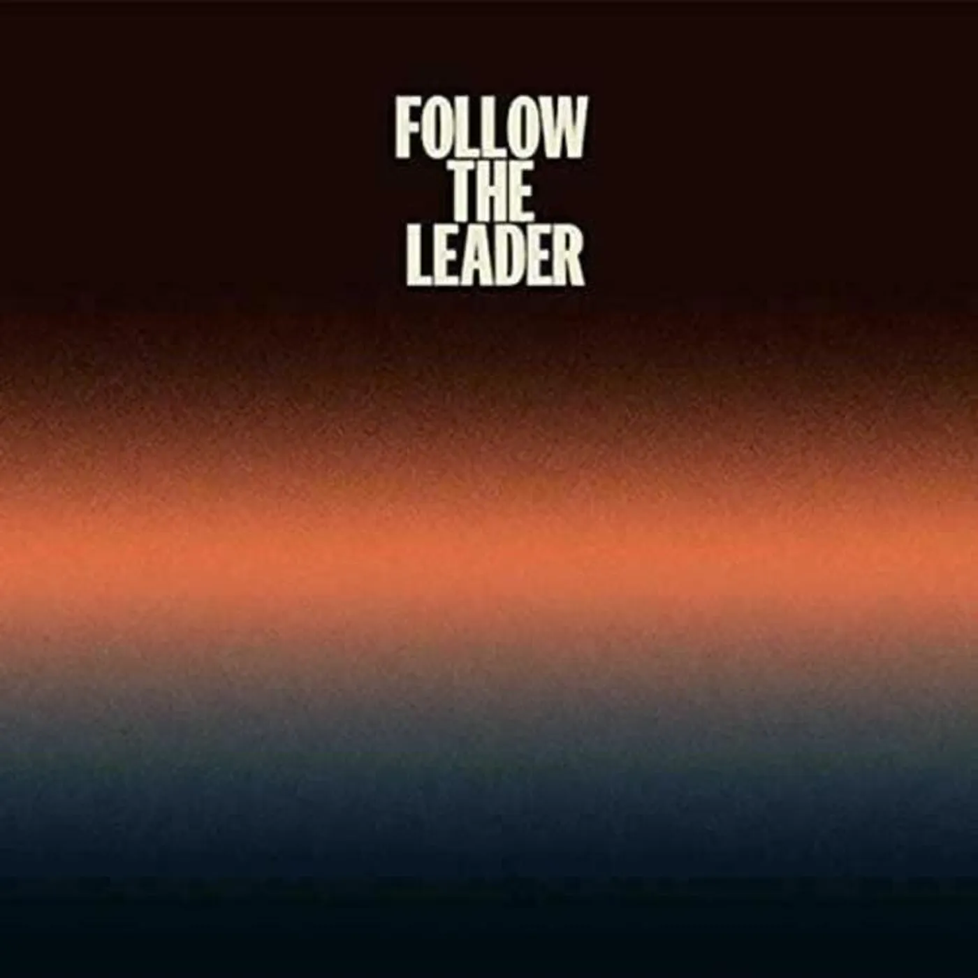 Tom Williams LP - Follow The Leader (Vinyl)