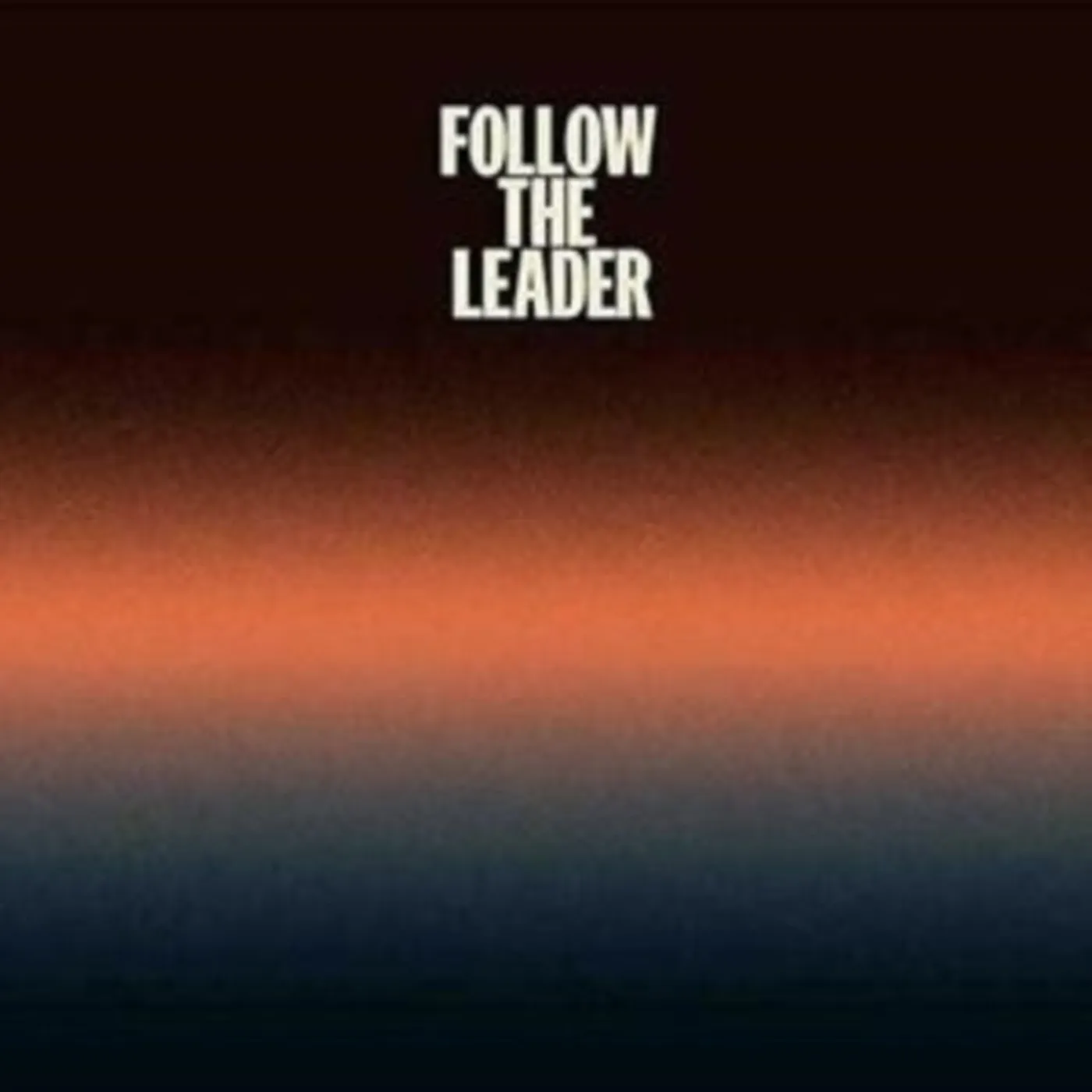 Tom Williams LP - Follow The Leader (Vinyl)