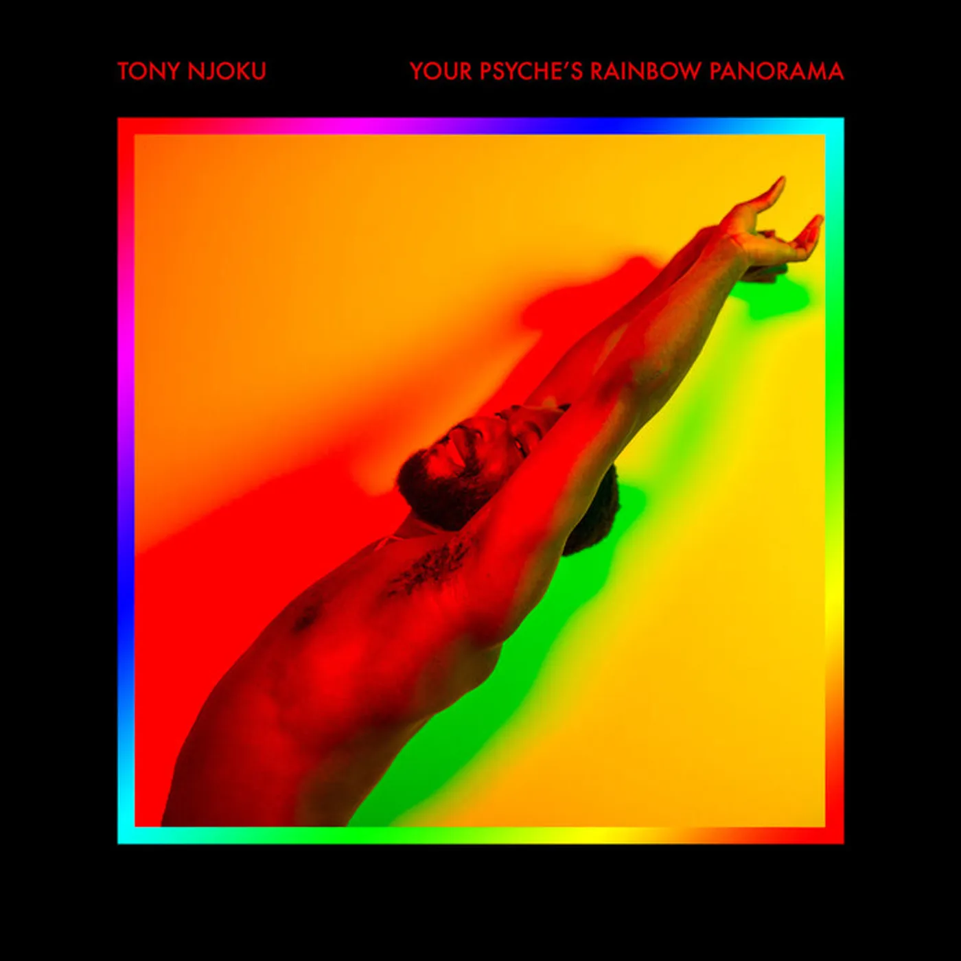 Tony Njoku LP - Your Psyches Rainbow Panorama (Vinyl)