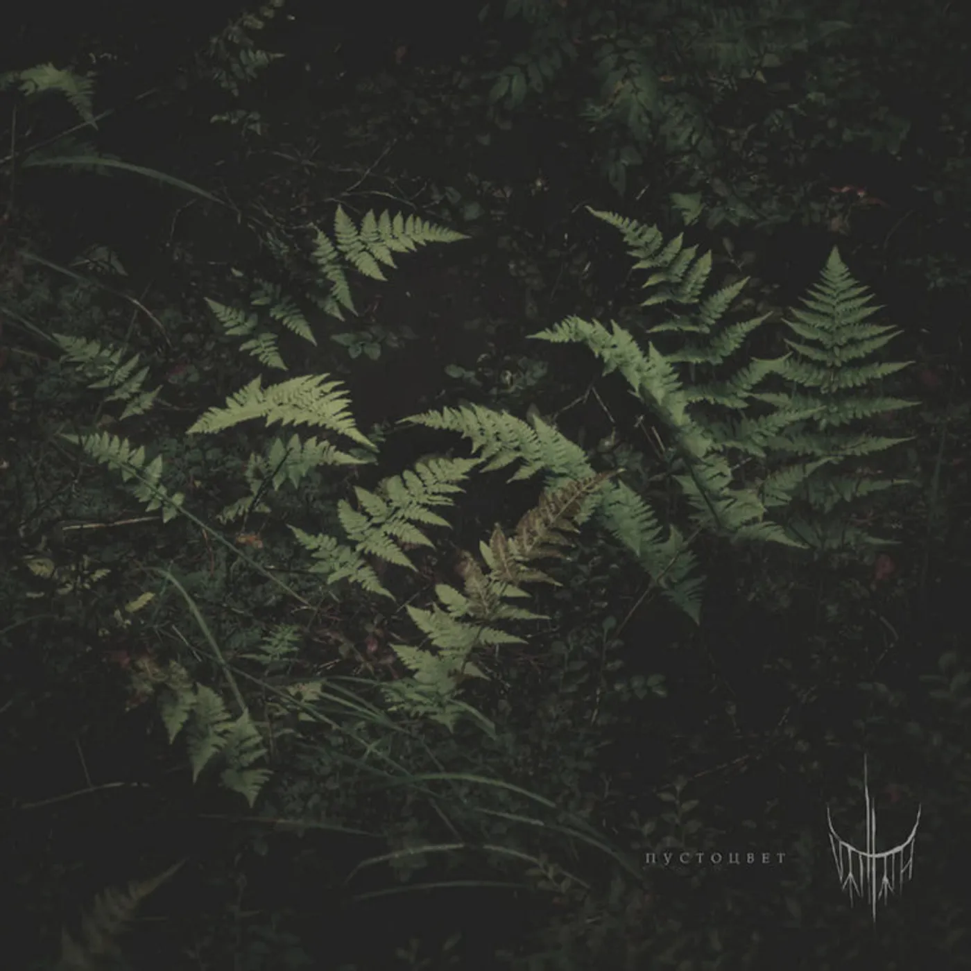 Varhara LP - Pustotsvet (Vinyl)