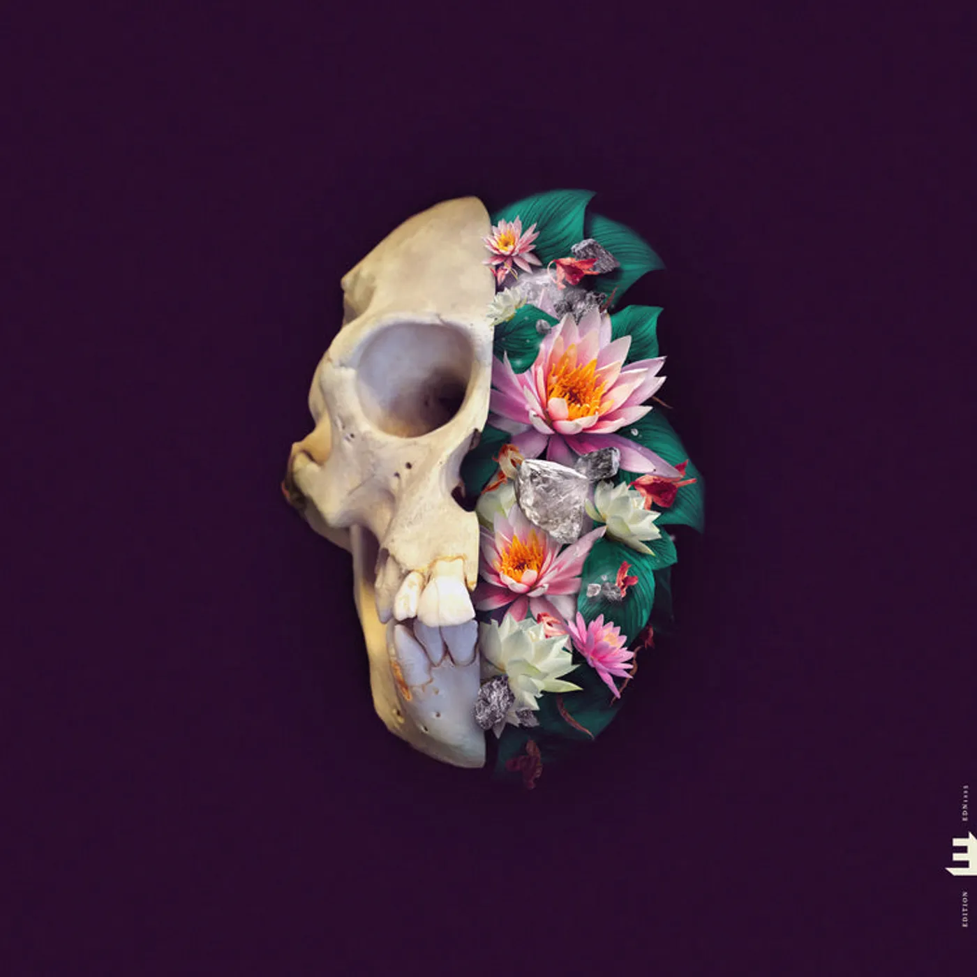 Verneri Pohjola LP - Monkey Mind (Vinyl)