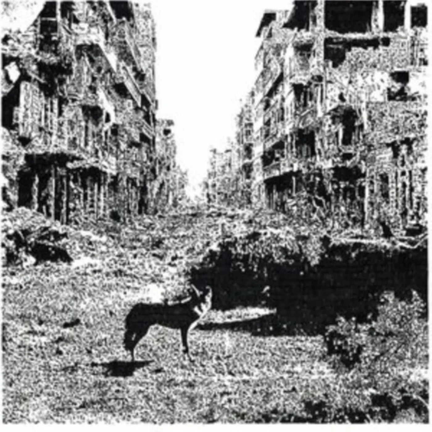 Vox Low LP - Keep On Falling (Vinyl)