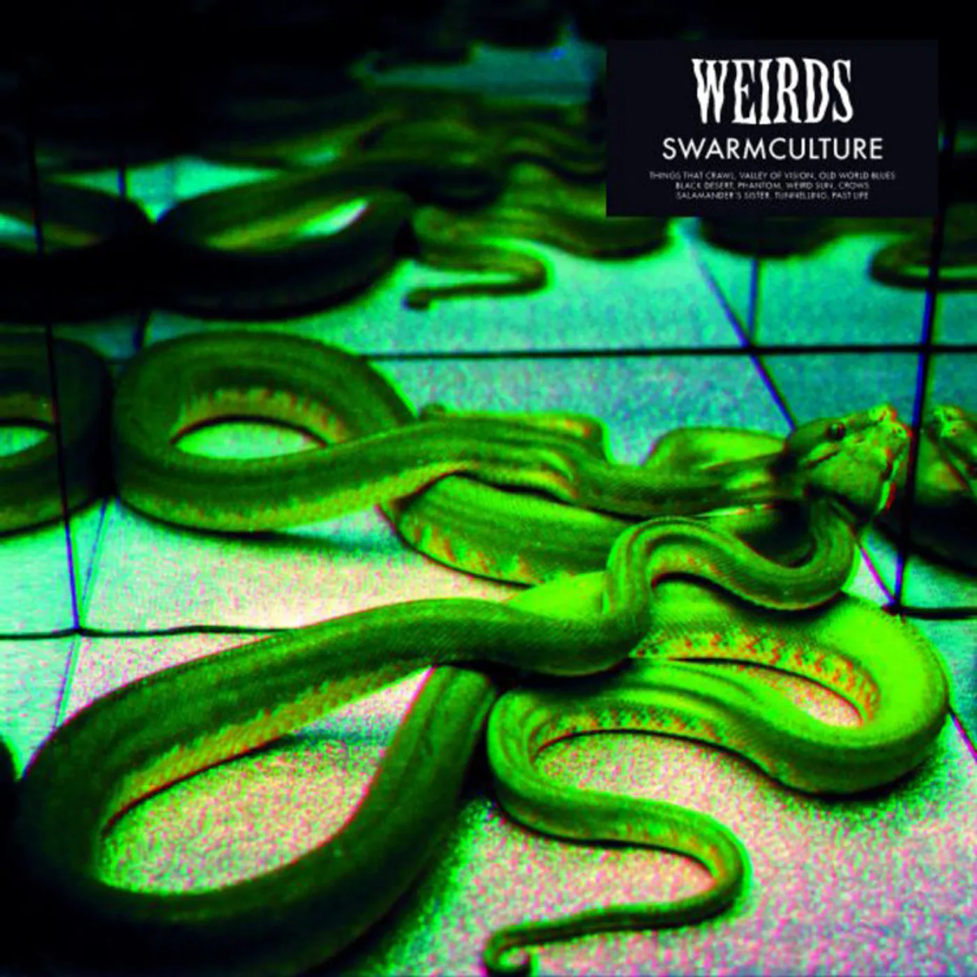 Weirds LP - Swarmculture (Vinyl)