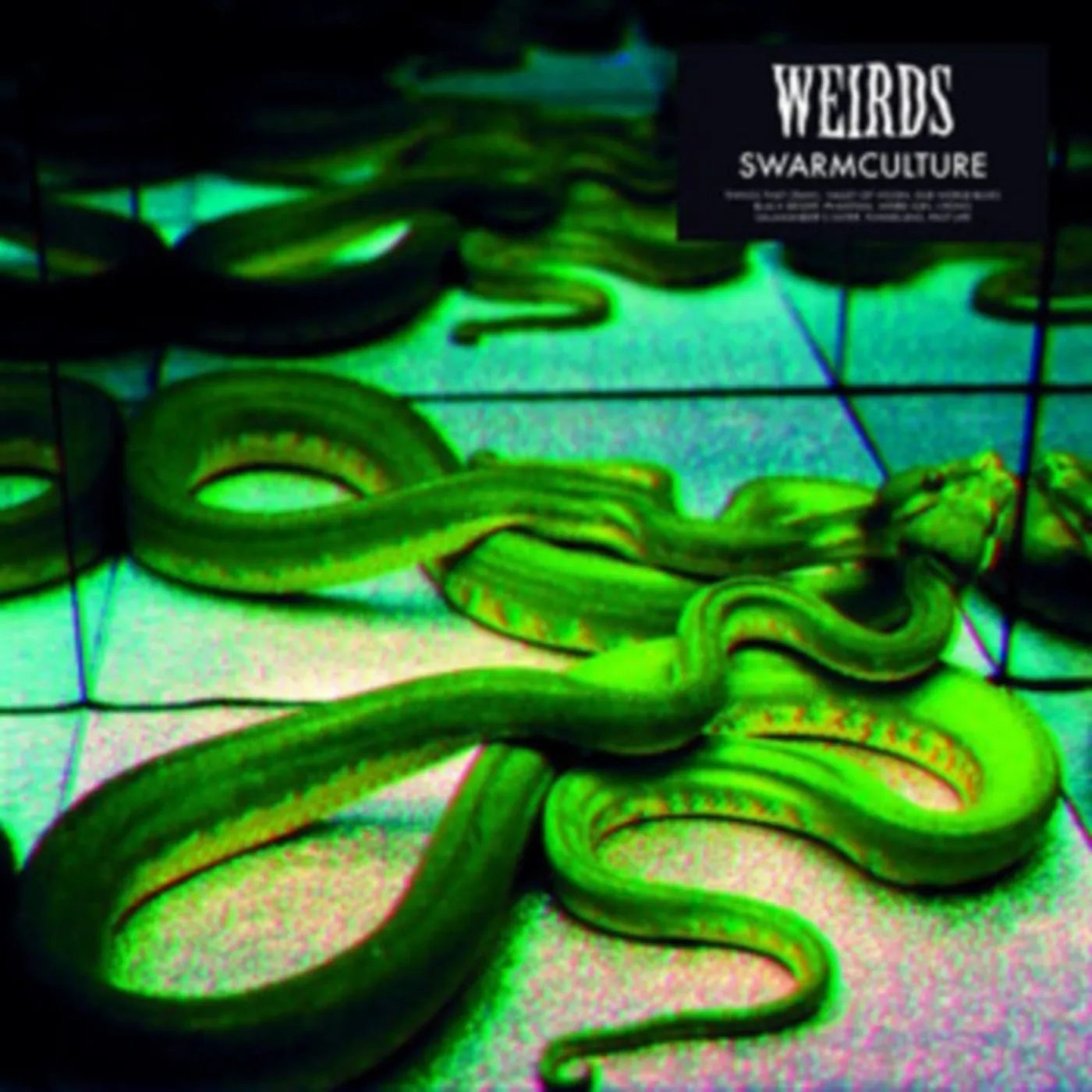 Weirds LP - Swarmculture (Vinyl)