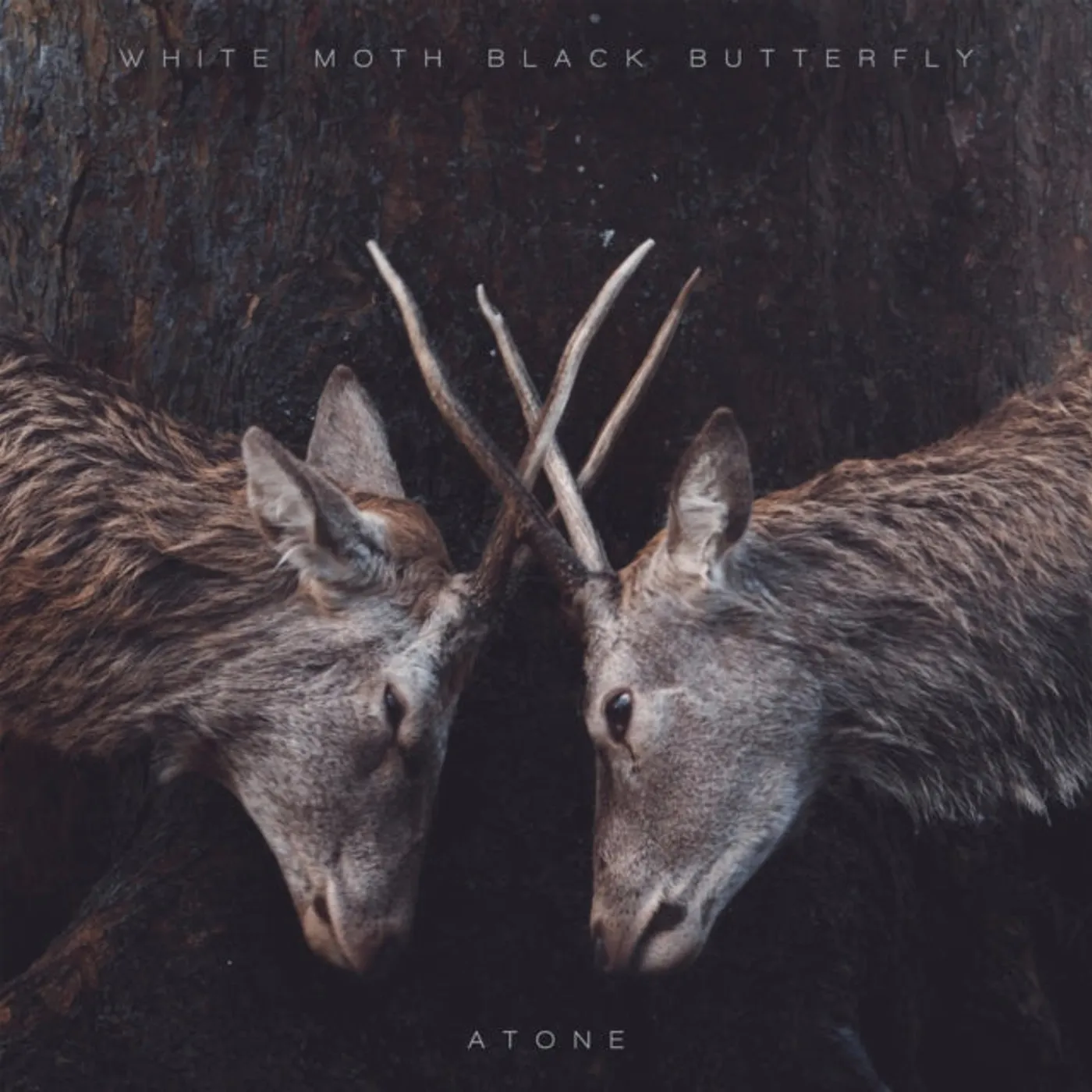 White Moth Black Butterfly LP - Atone ( Lp ) (Vinyl)