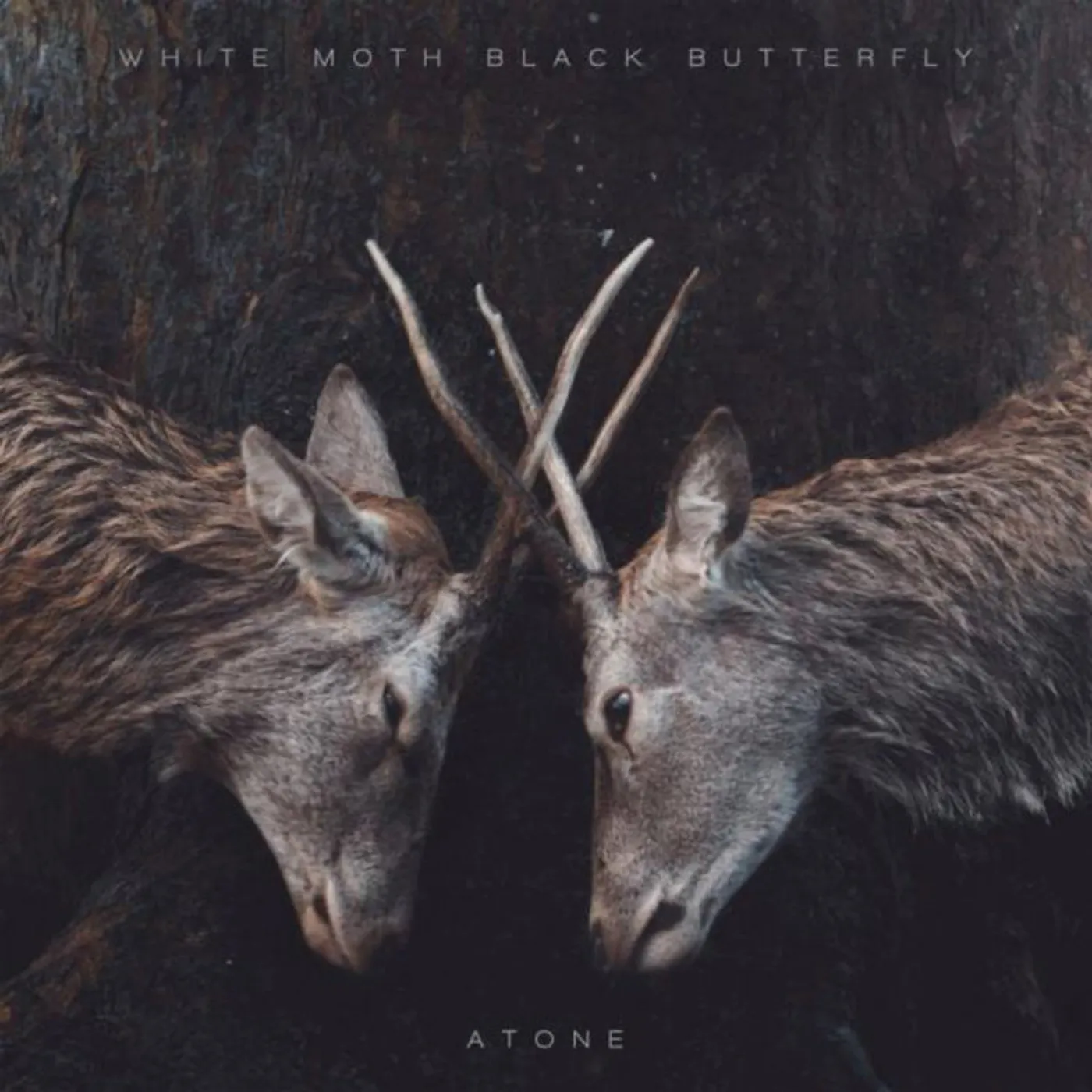 White Moth Black Butterfly LP - Atone ( Lp ) (Vinyl)
