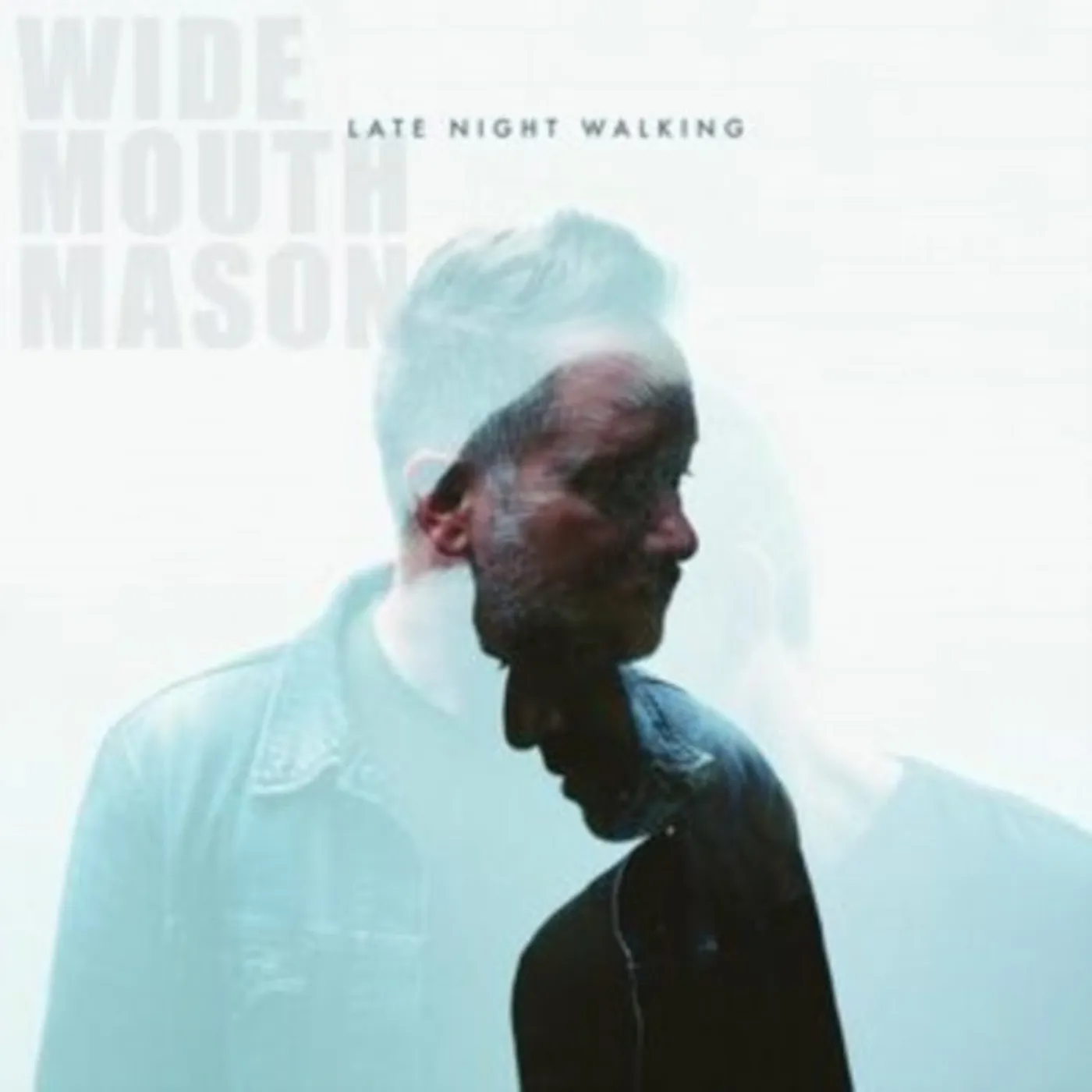 Wide Mouth Mason LP - Late Night Walking (Vinyl)