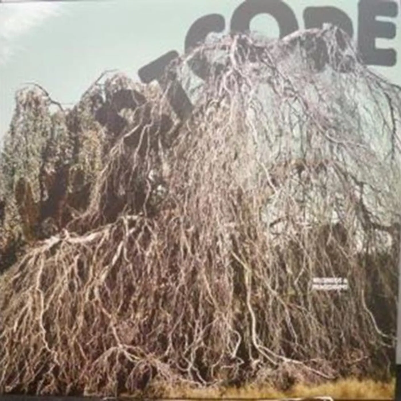 Wildbirds & Peacedrums LP - Heartcore (Vinyl)