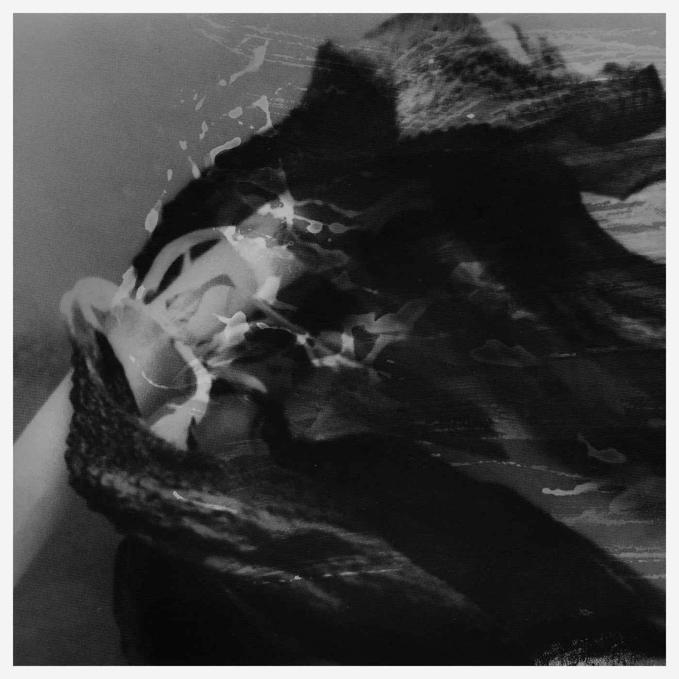 Will Samson LP - Active Imagination (Vinyl)