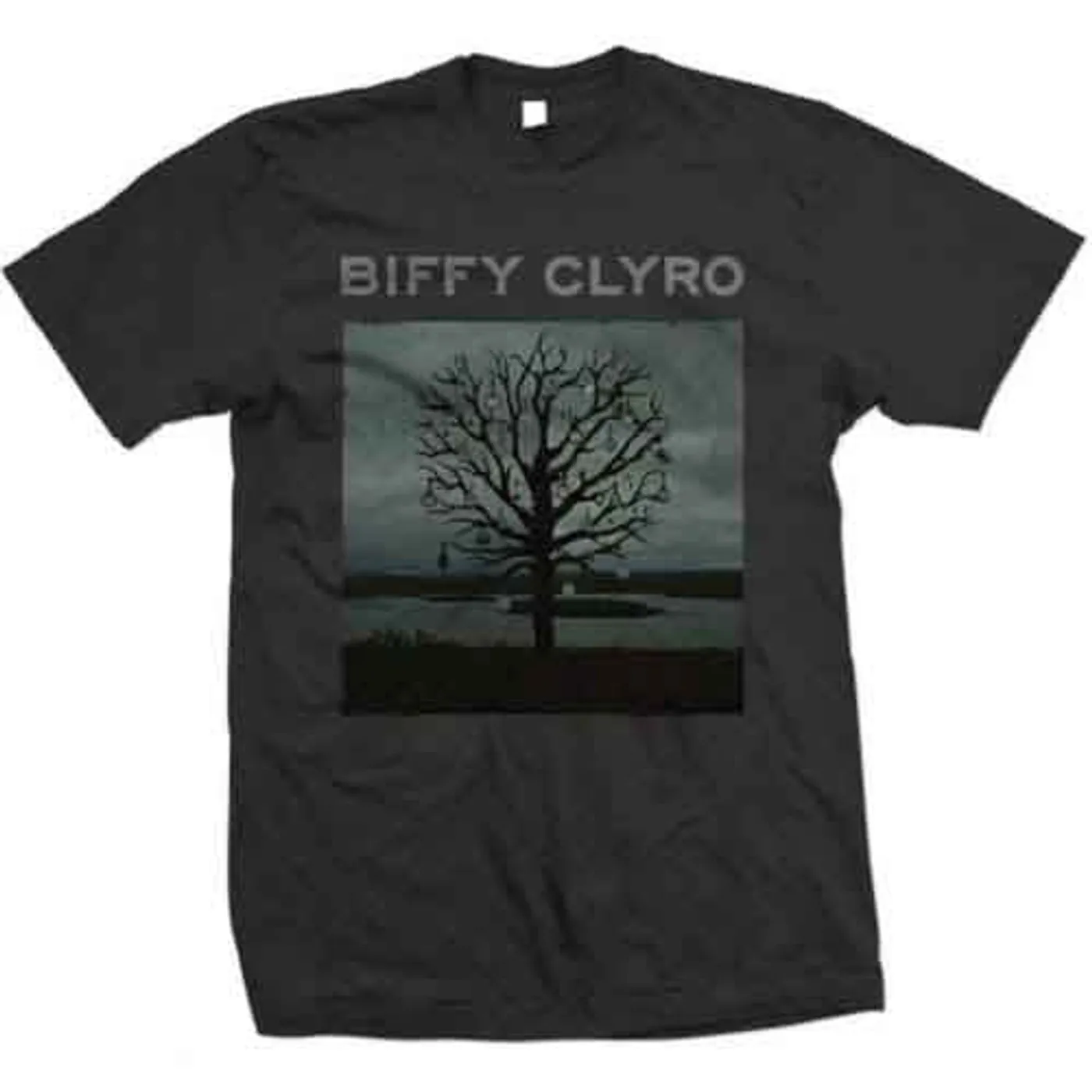 Biffy Clyro T Shirt - Chandelier