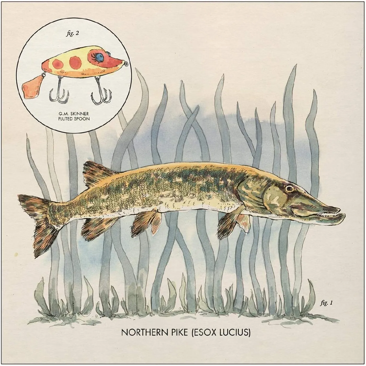 Nick Lowe LP - Lay It On Me (Vinyl)