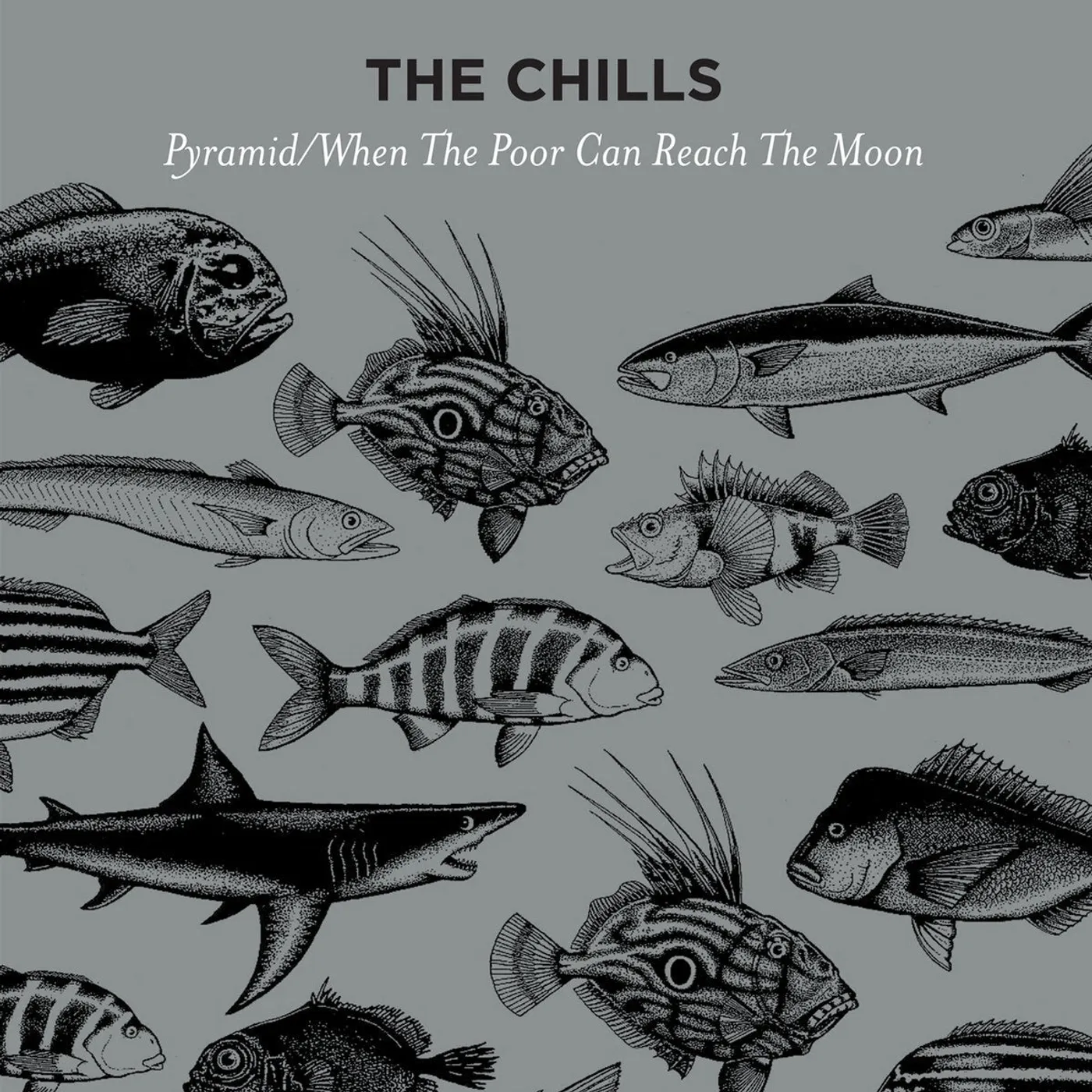 The Chills LP - Pyramid (Vinyl)