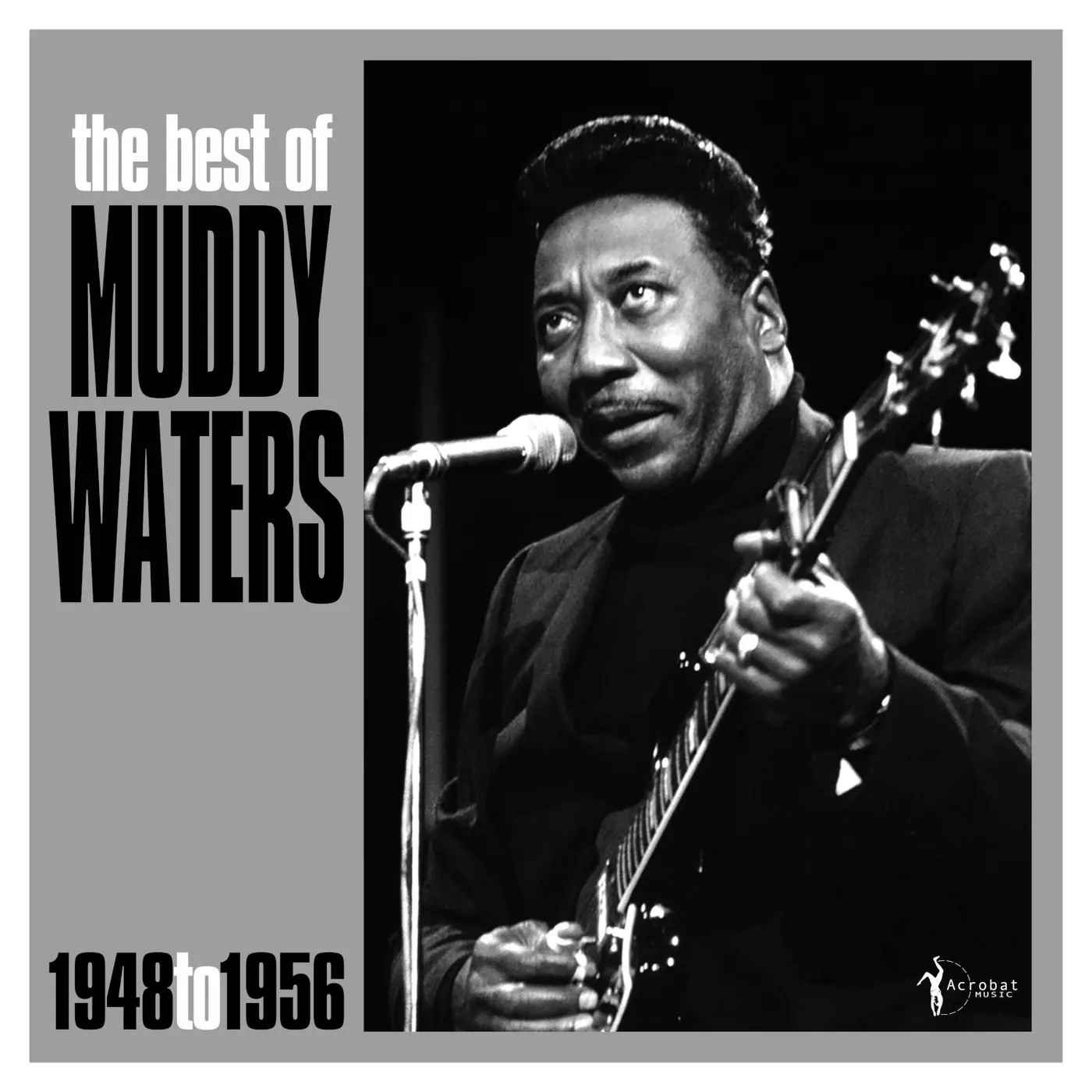 Muddy Waters LP - Best Of Muddy Waters 1948-56 (Vinyl)