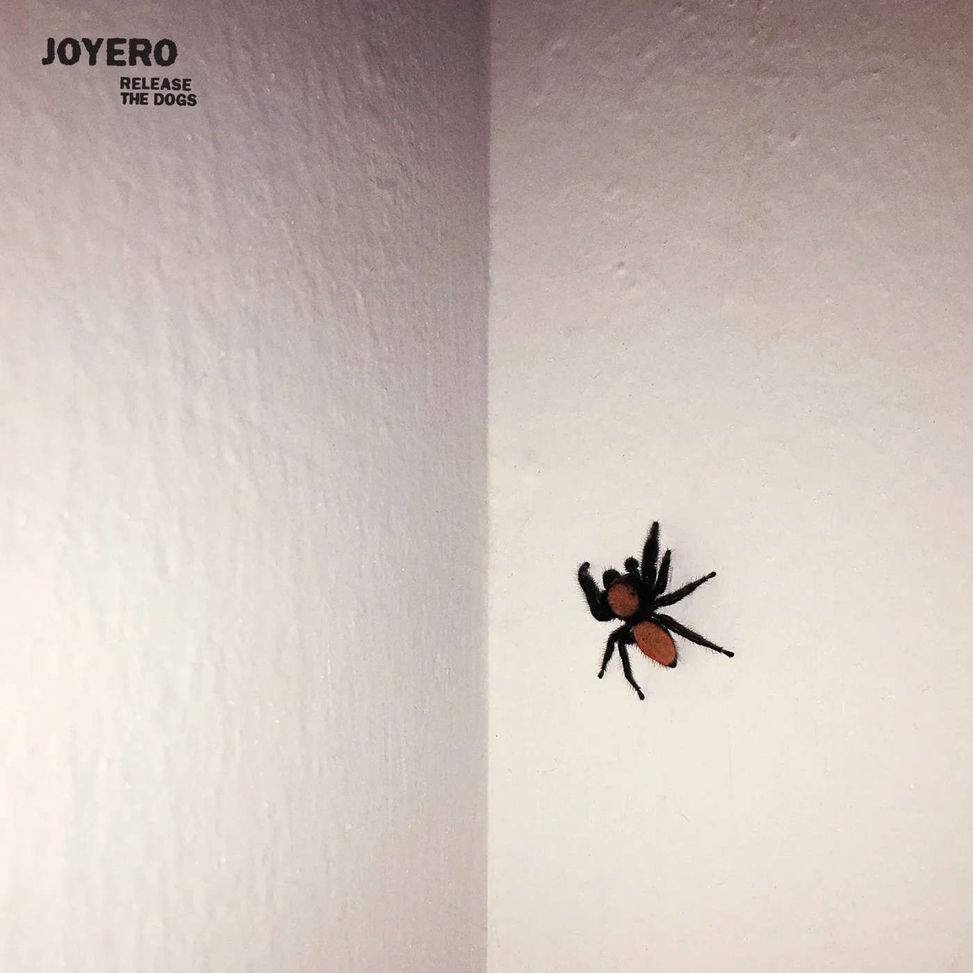 Joyero LP - Release The Dogs (Coloured Vinyl)