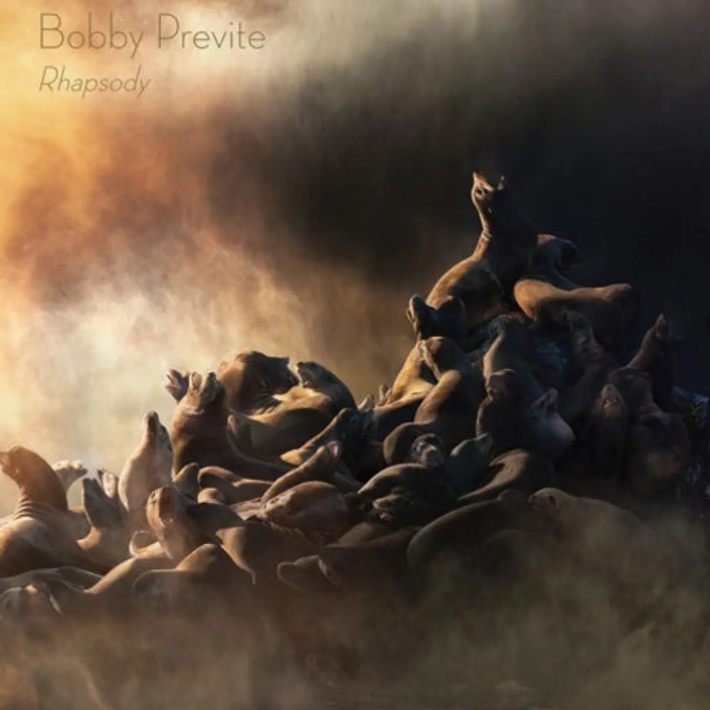 Bobby Previte LP - Rhapsody (Vinyl)
