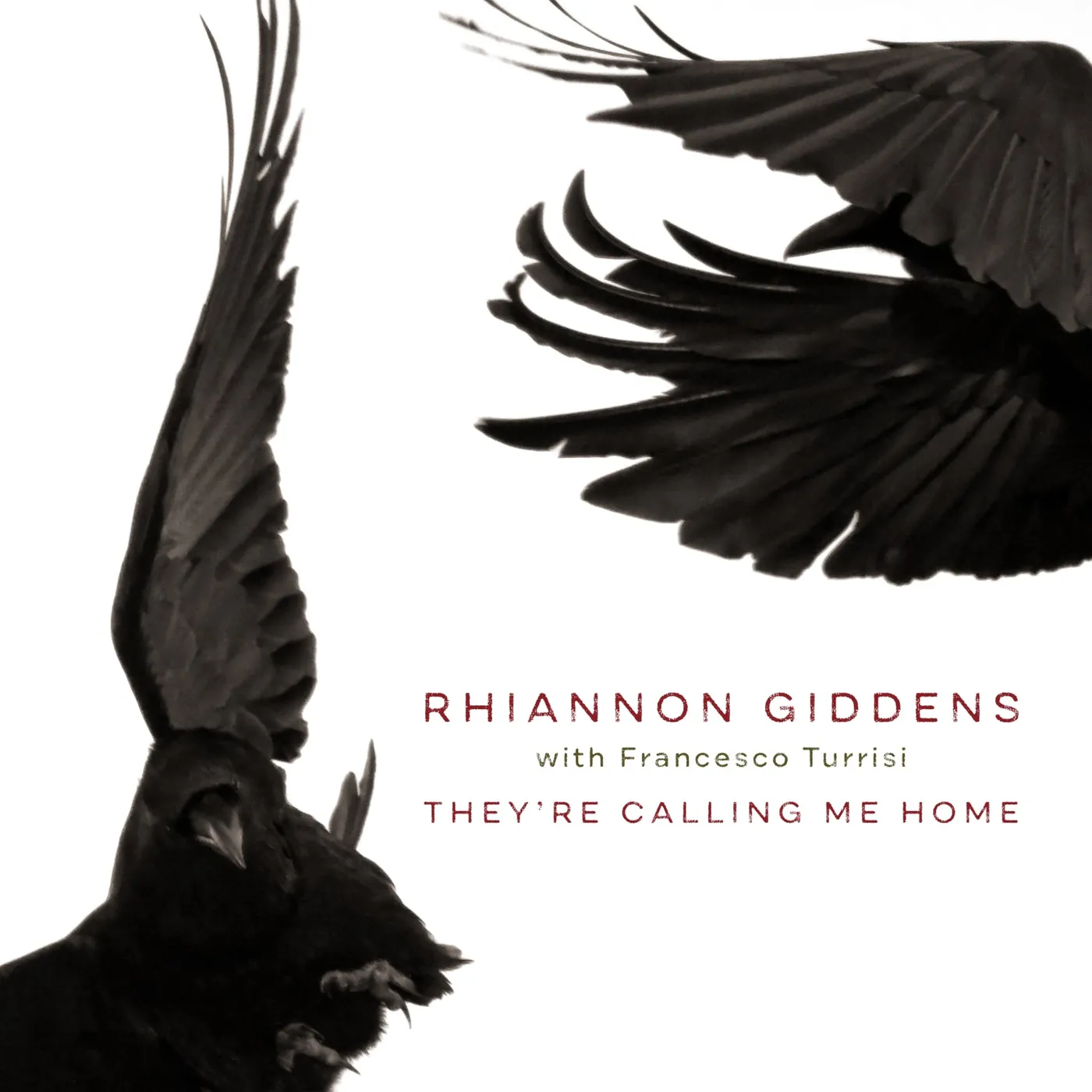 Rhiannon Giddens LP - They'Re Calling Me Home (With Francesco Turrisi) (Vinyl)