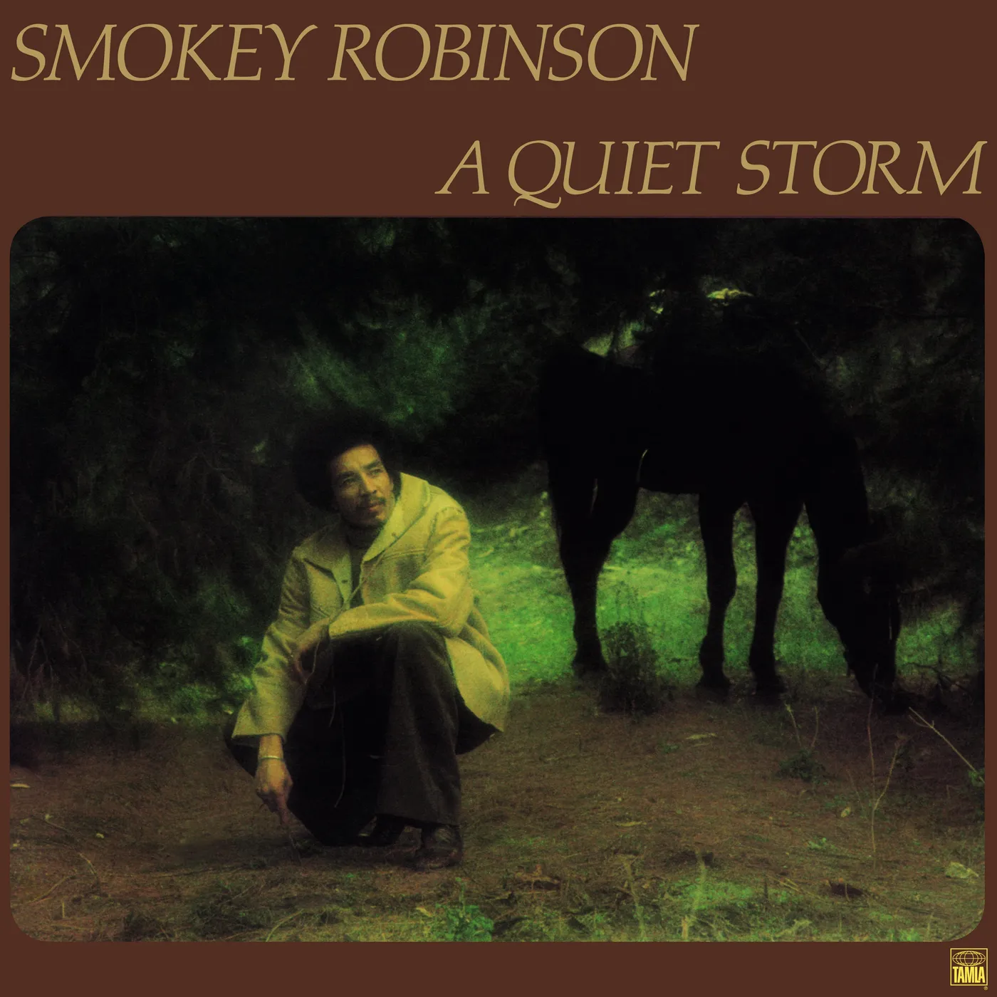 Smokey Robinson LP - A Quiet Storm (Vinyl)