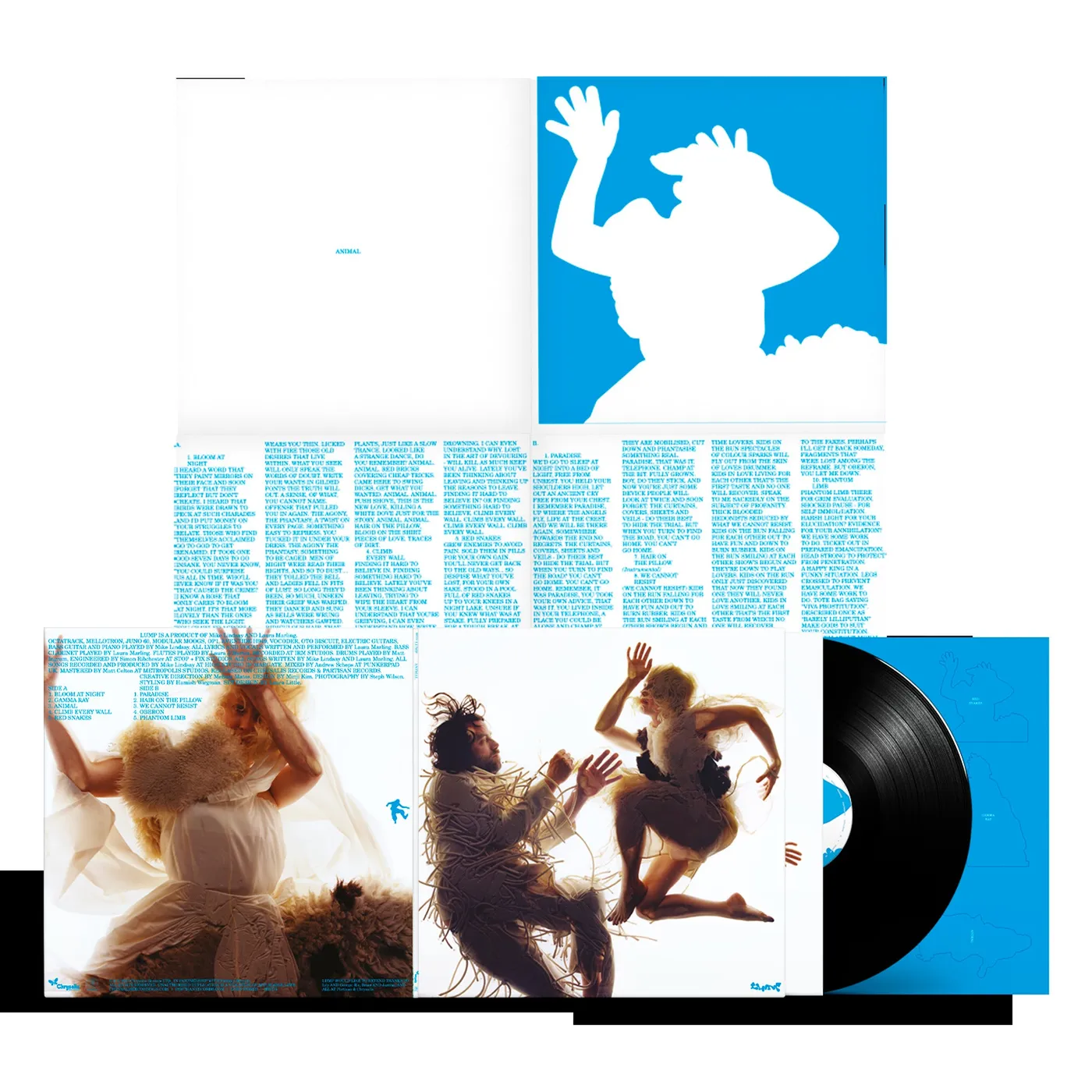 Lump LP - Animal (Feat. Laura Marling & Mike Lindsay) (Vinyl)