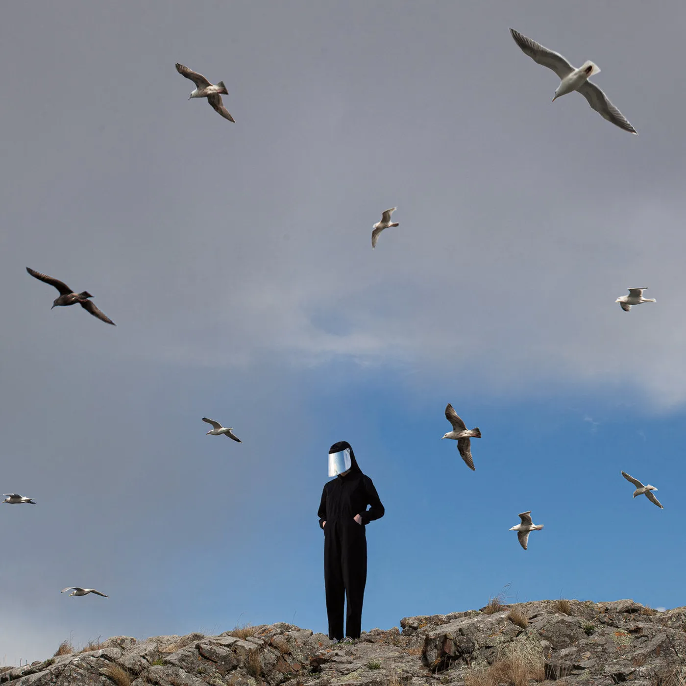 Hamerkop LP - Remote (Vinyl)