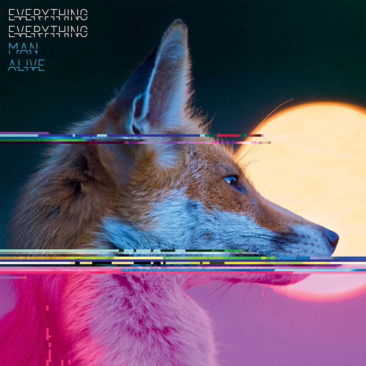 Everything Everything LP - Man Alive (Vinyl)