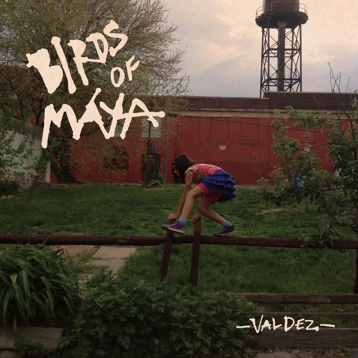 Birds of Maya LP - Valdez (Vinyl)