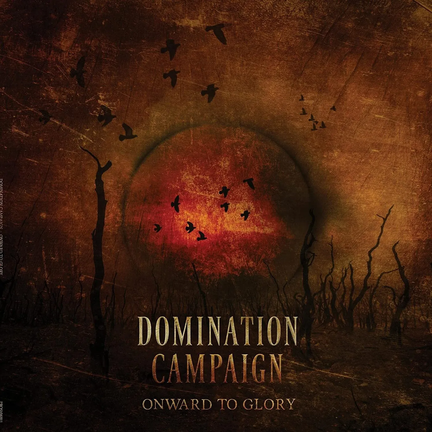 Domination Campaign LP - Onward To Glory (Vinyl)