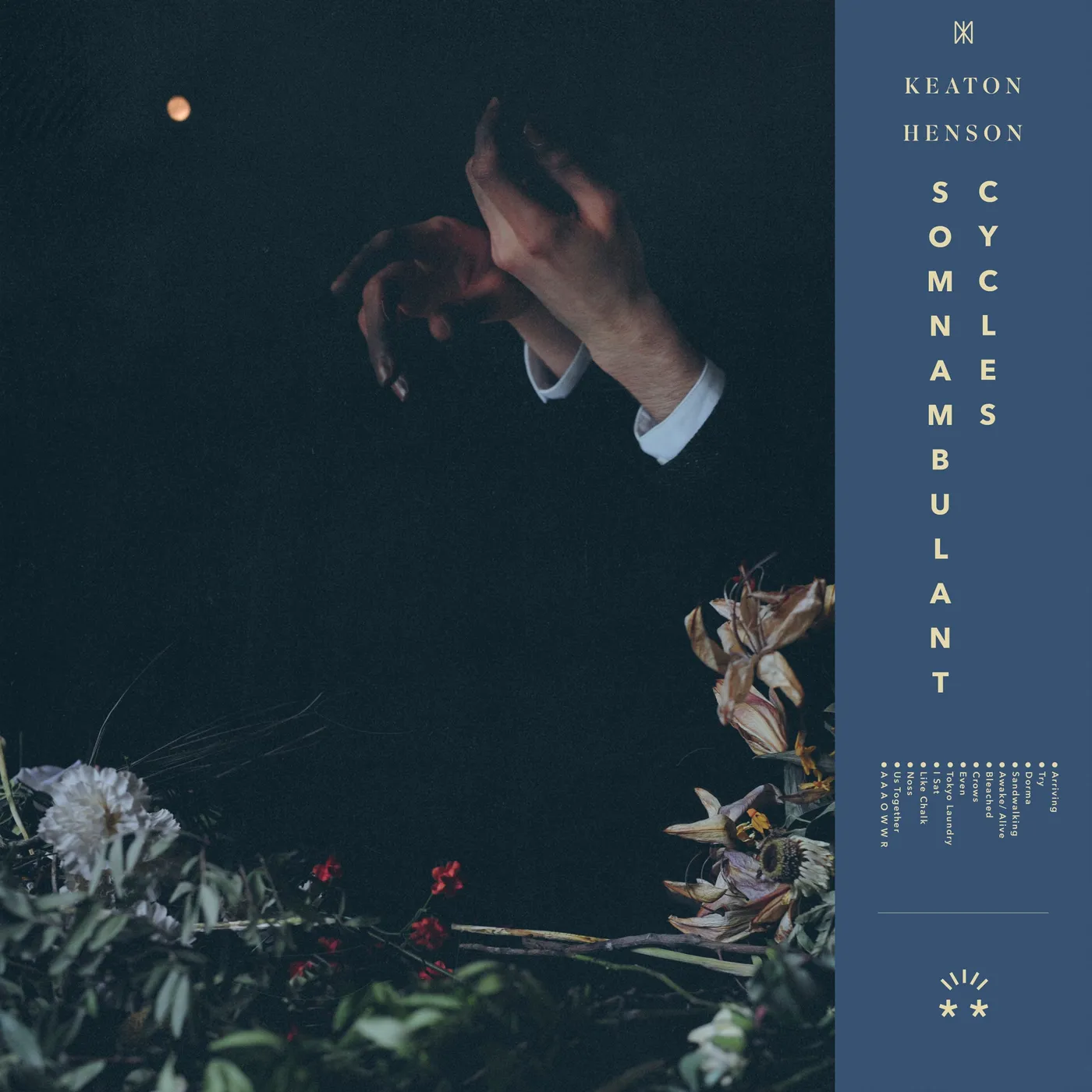 Keaton Henson LP - Somnambulant Cycles (Vinyl)