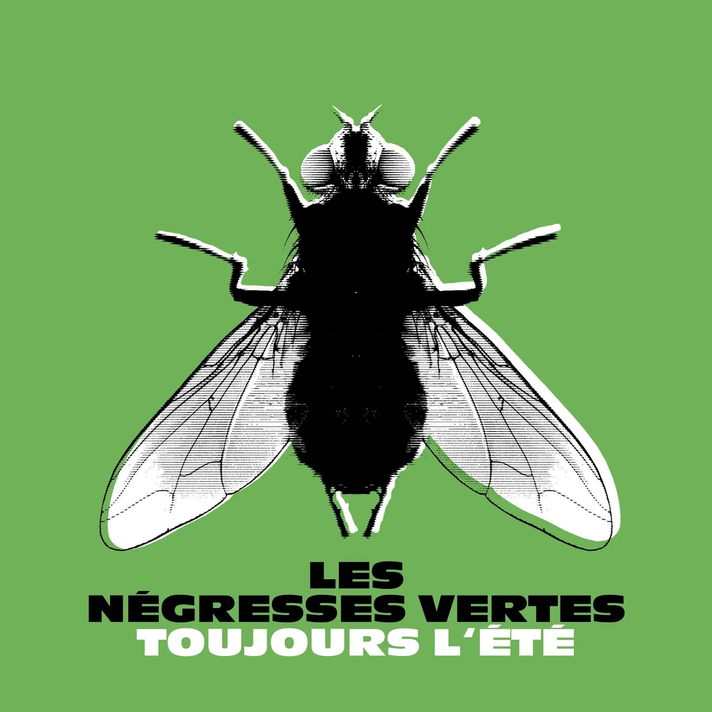 Les Négresses Vertes LP - Toujours Lete (Best Of) (Vinyl)