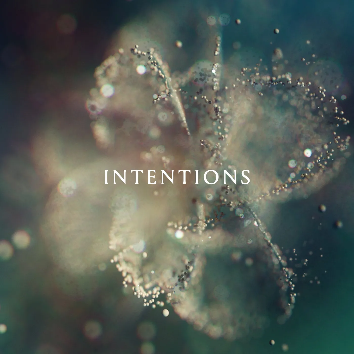 Anna LP - Intentions (Vinyl)