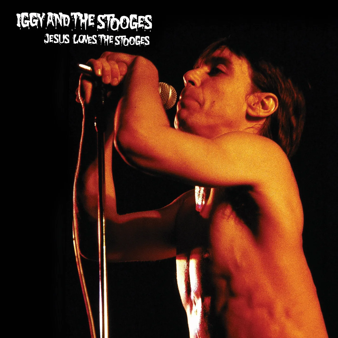 Iggy and the Stooges LP - Jesus Loves The Stooges (Vinyl)
