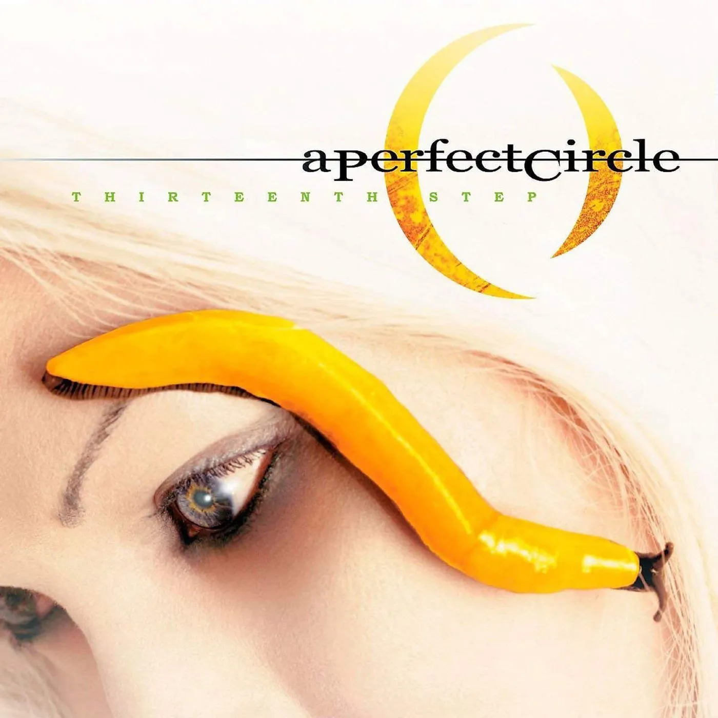 A Perfect Circle LP - Thirteenth Step (Vinyl)