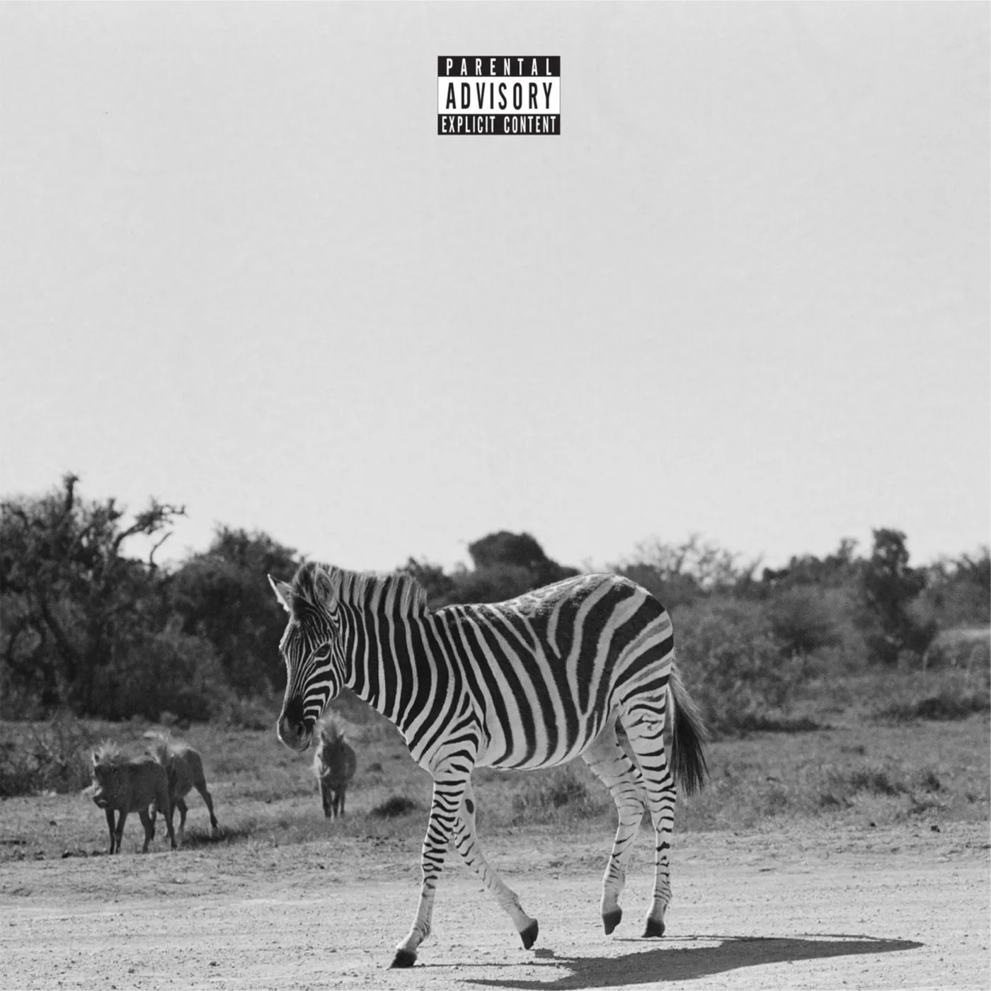 Louis VI LP - Earthling (Vinyl)