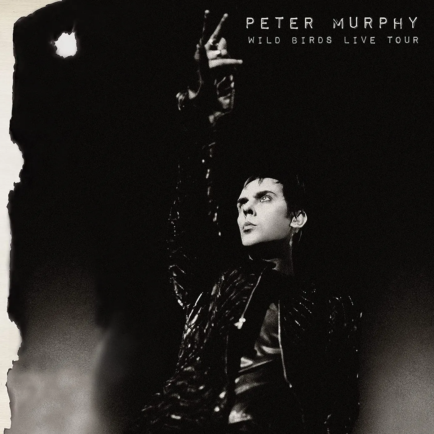 Peter Murphy LP - Wild Birds Live Tour (Purple/ Black Vinyl)
