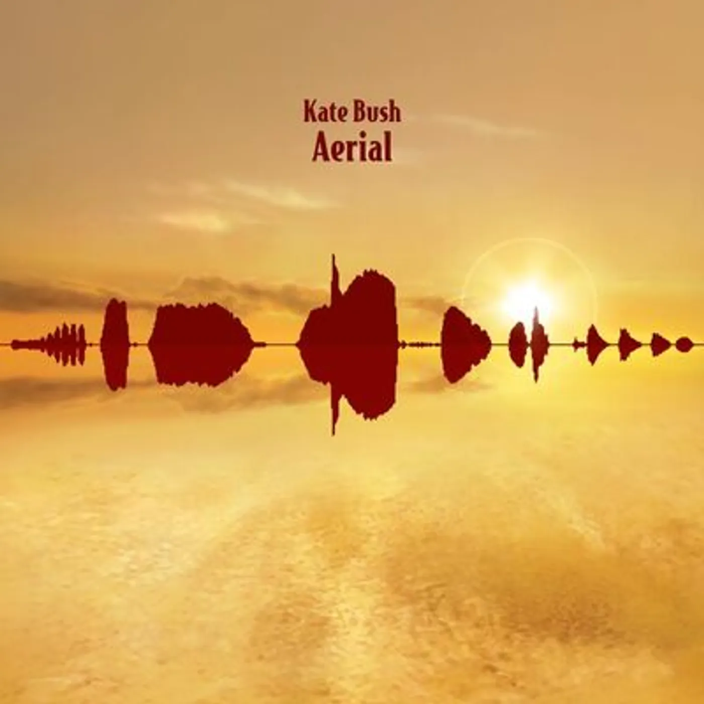 Kate Bush LP - Aerial (2018 Remaster) (Vinyl)