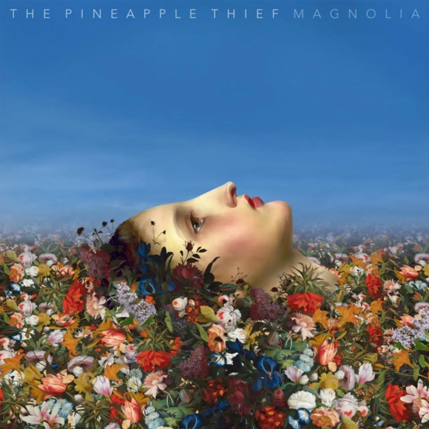 The Pineapple Thief CD - Magnolia