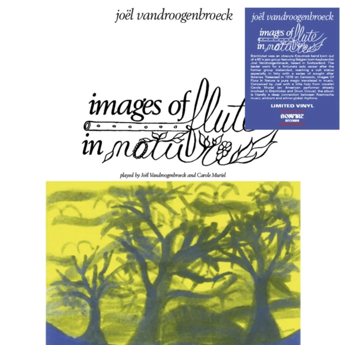 Joel Vandroogenbroeck LP Vinyl Record - Images Of Flute In Nature