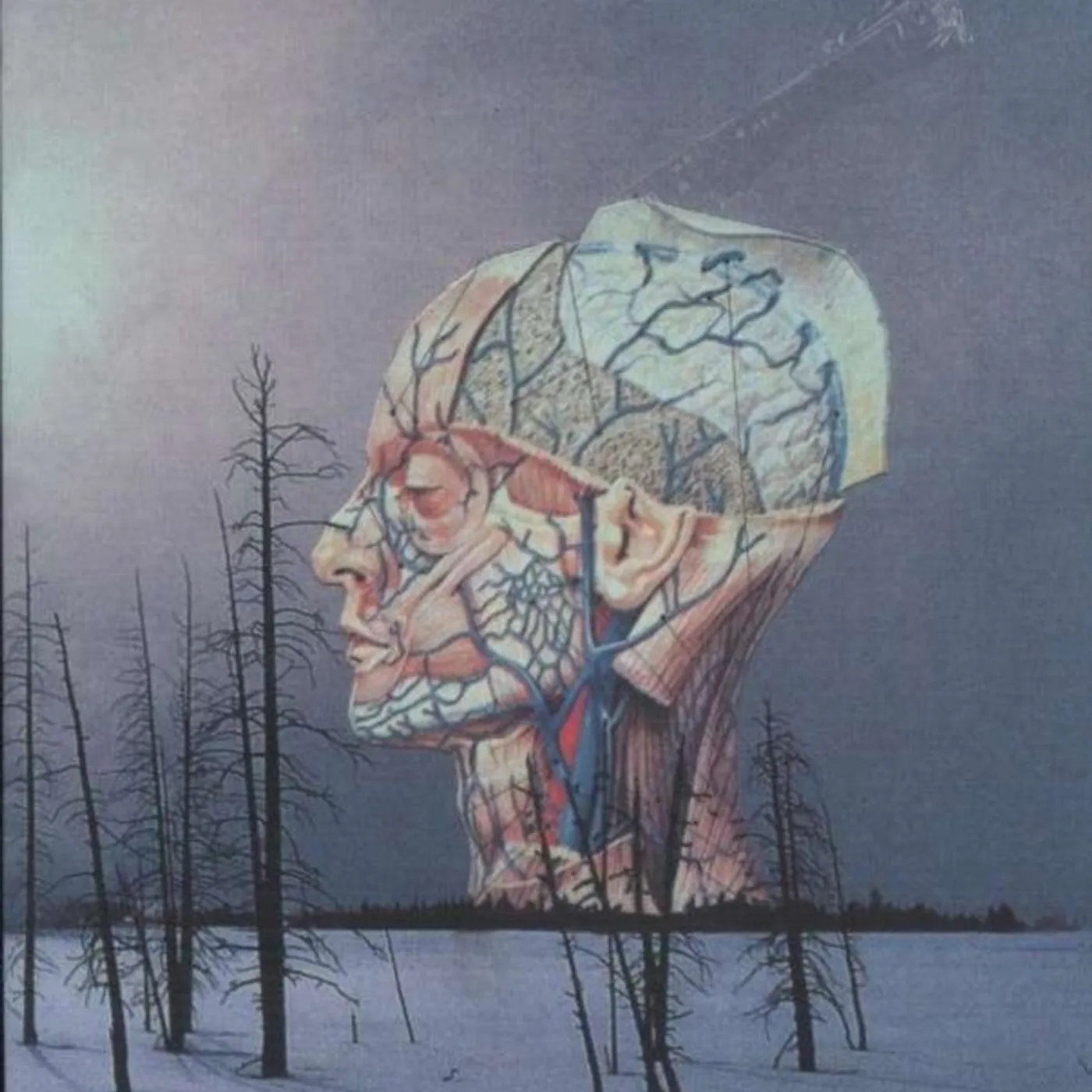 Low LP - Songs For A Dead Pilot (Vinyl)