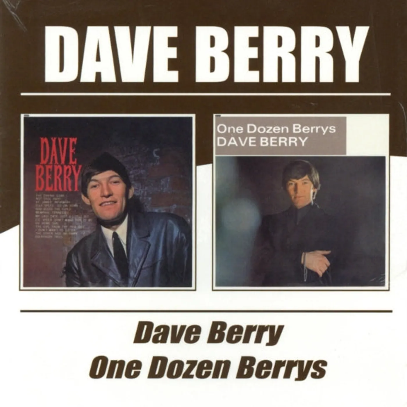 Dave Berry CD - Dave Berry / One Dozen Berry