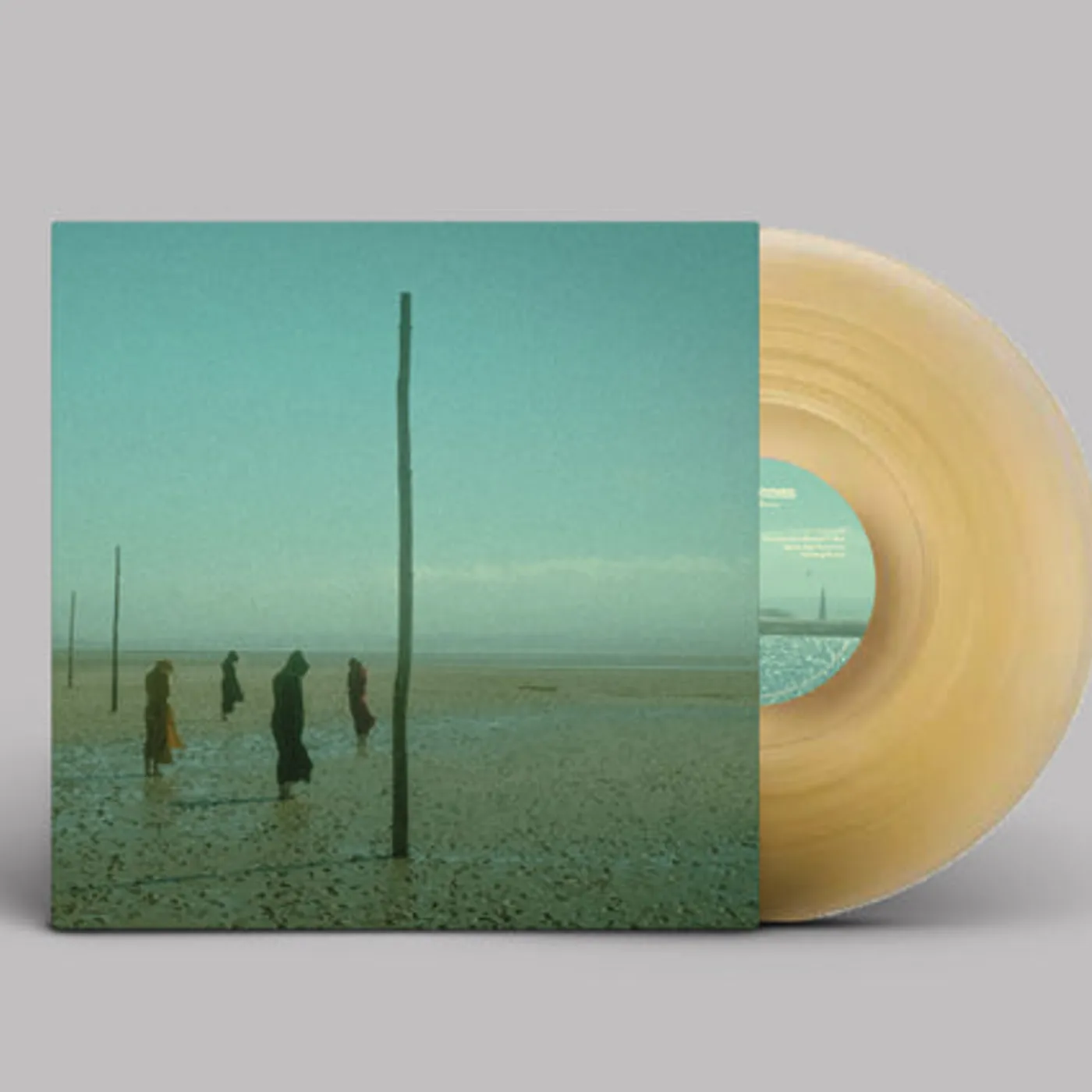 Devil's Witches LP - In All Her Forms (Gold/Clear Marbled Vinyl)