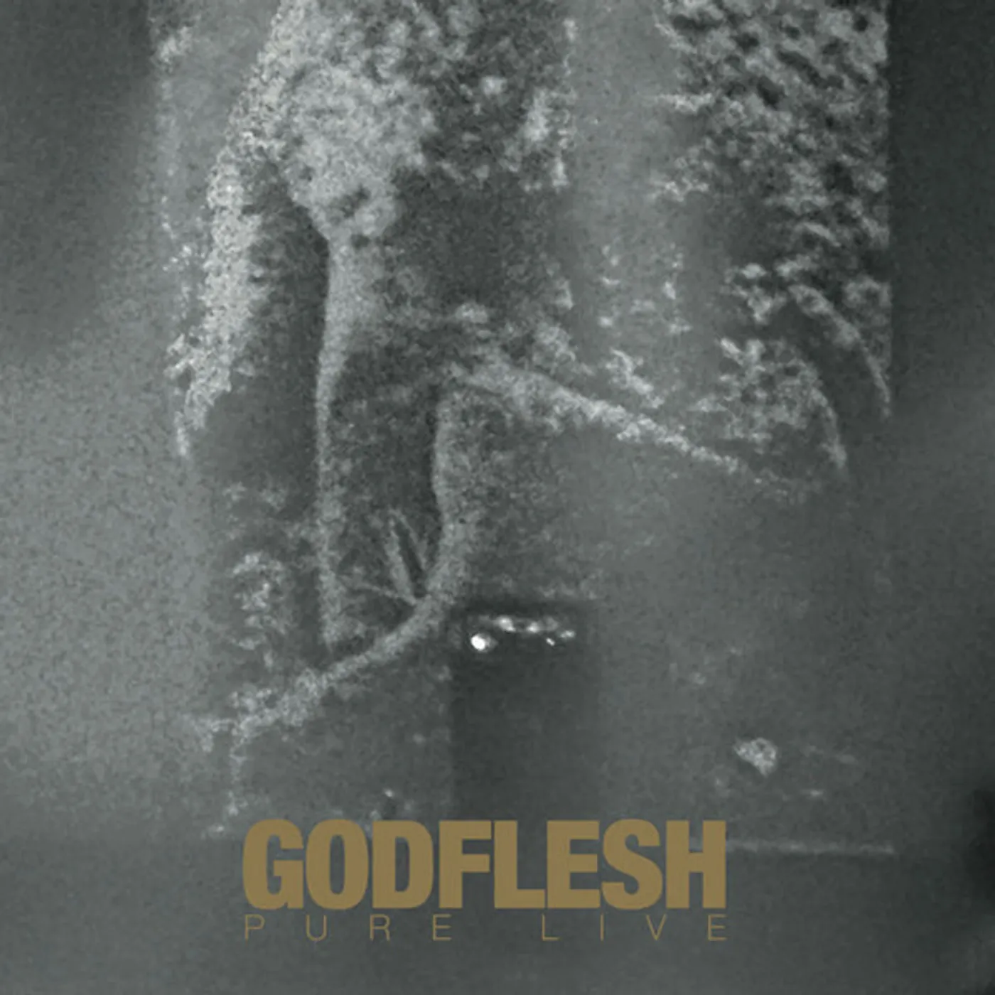 Godflesh LP - Pure: Live (Gold W/ Gold And White Splatter Vinyl)