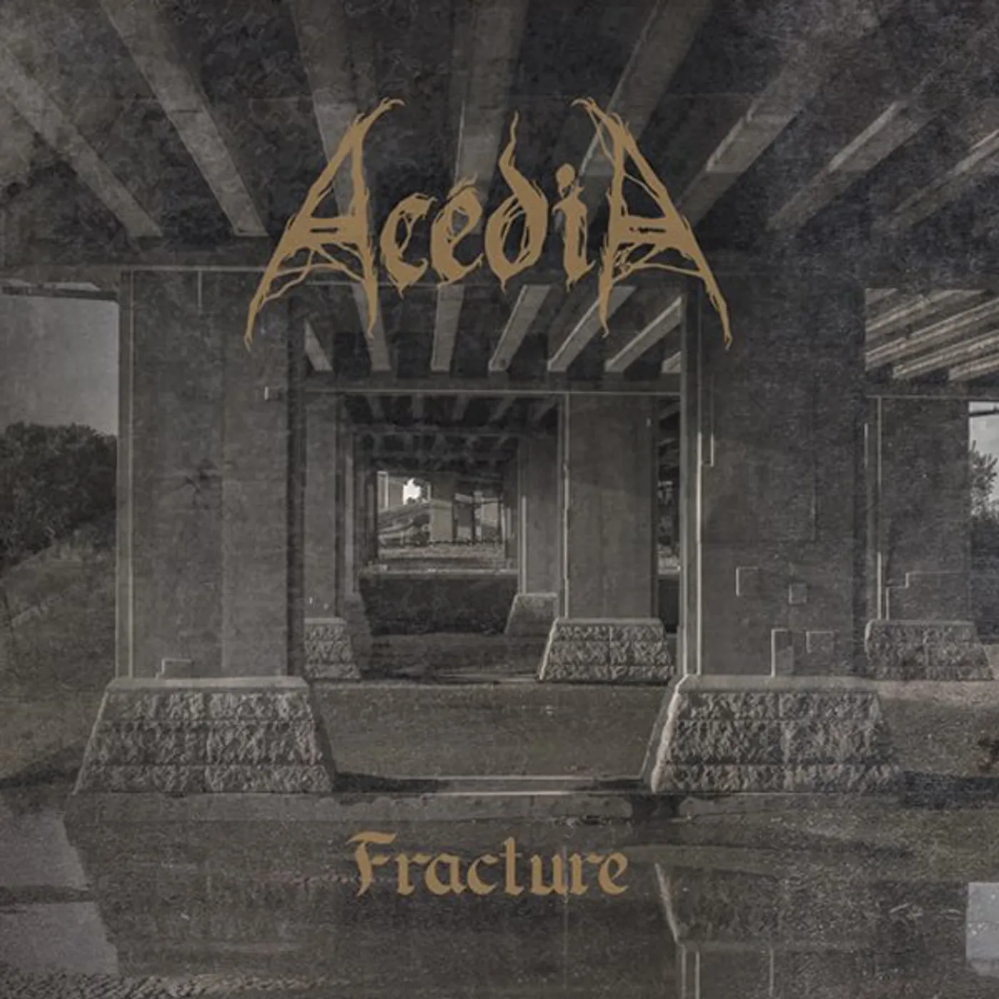 Acedia LP - Fracture (Vinyl)
