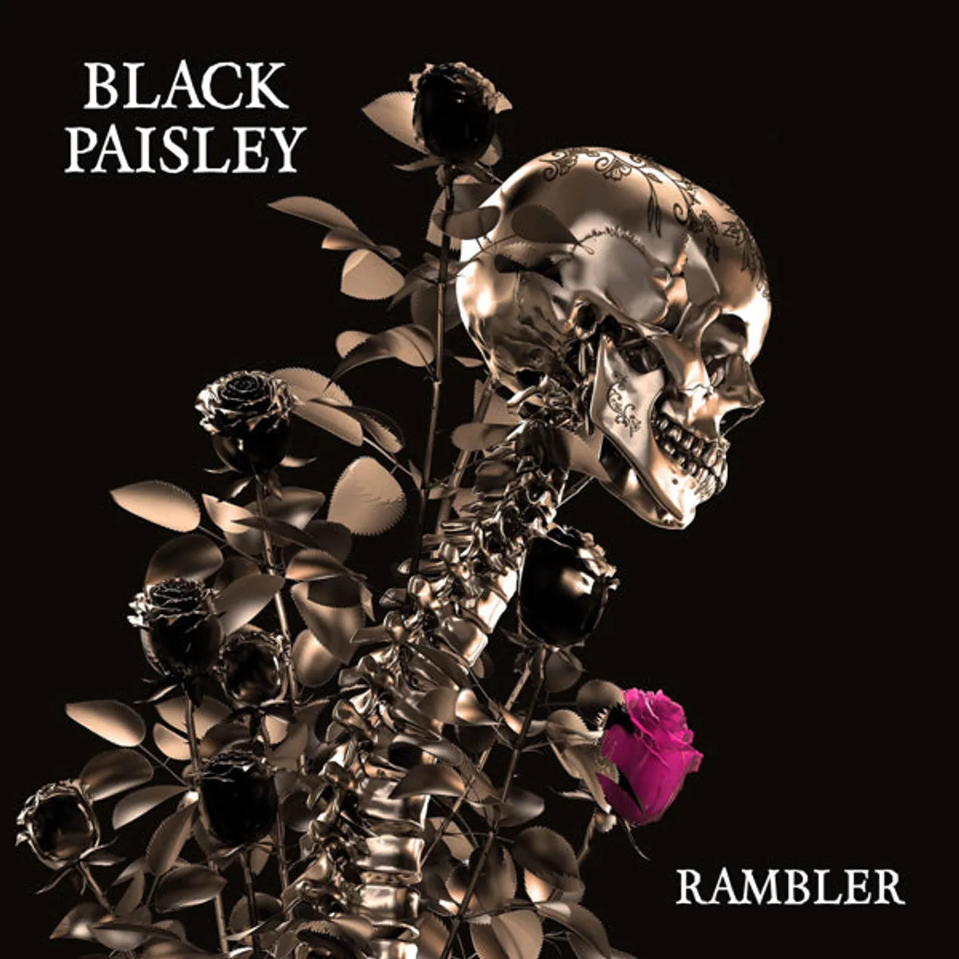Black Paisley LP - Rambler (Vinyl)
