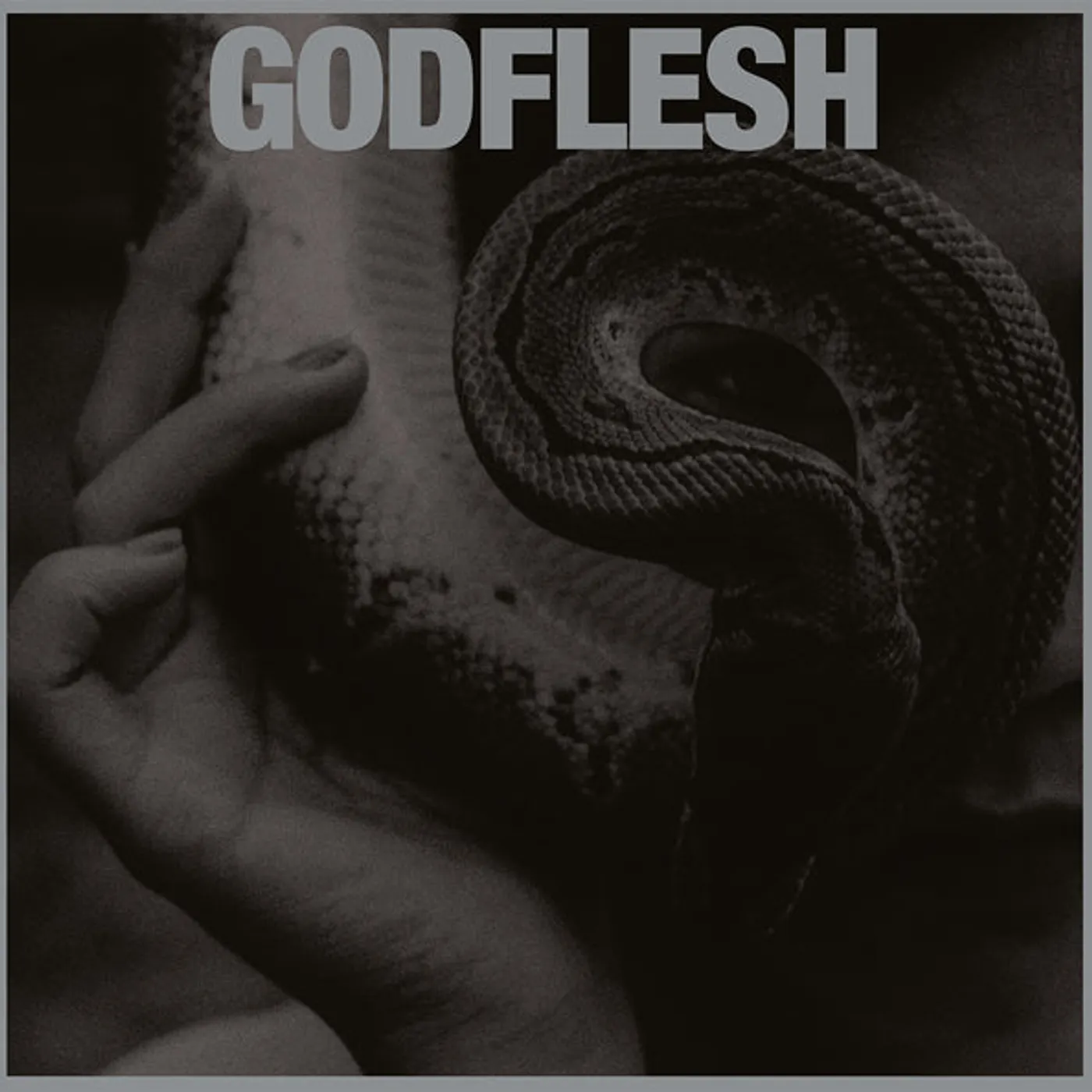 Godflesh LP - Purge (Vinyl)