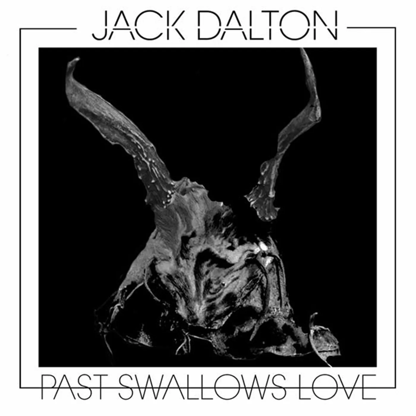 Jack Dalton LP - Past Swallows Love (Vinyl)