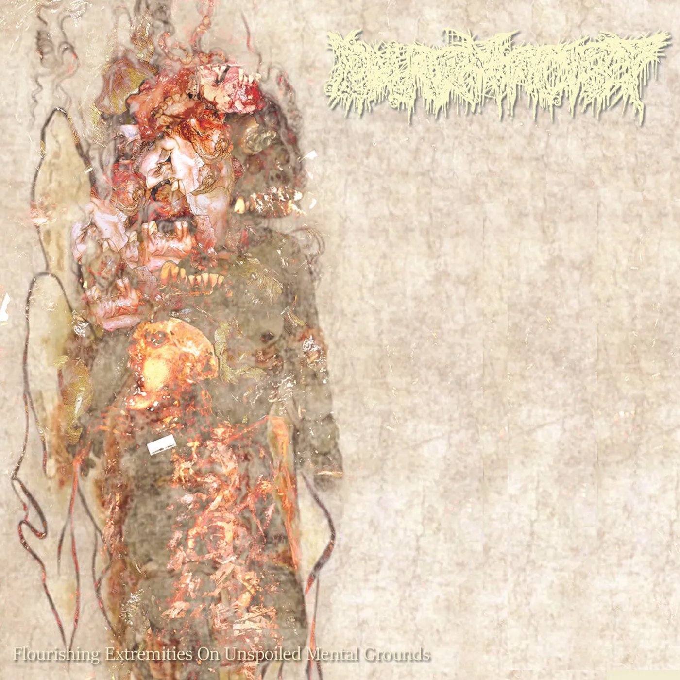 Pharmacist LP - Flourishing Extremities On Unspoiled Mental Grounds (Vinyl)