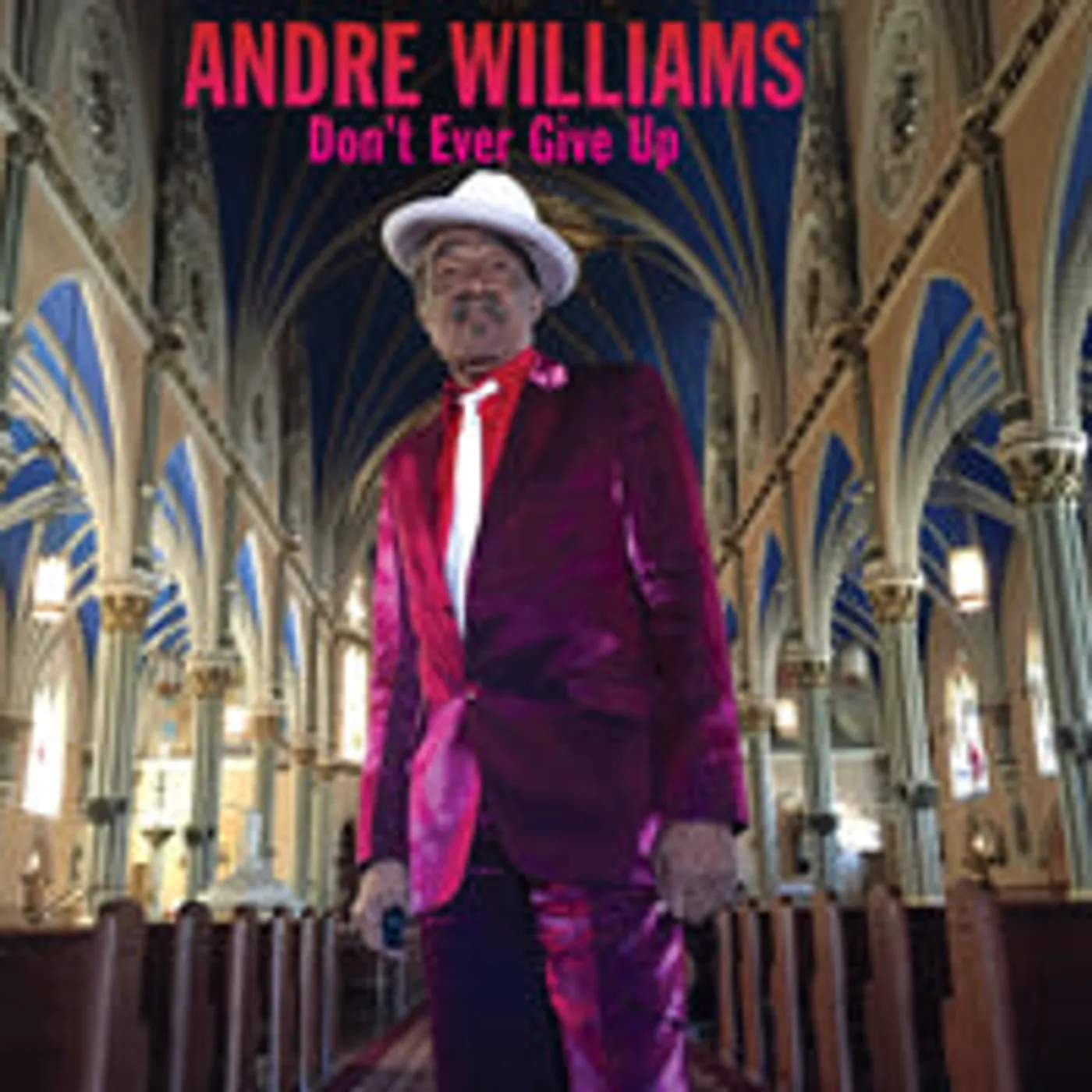 Andre Williams LP - DonÂ’T Ever Give Up (Vinyl)