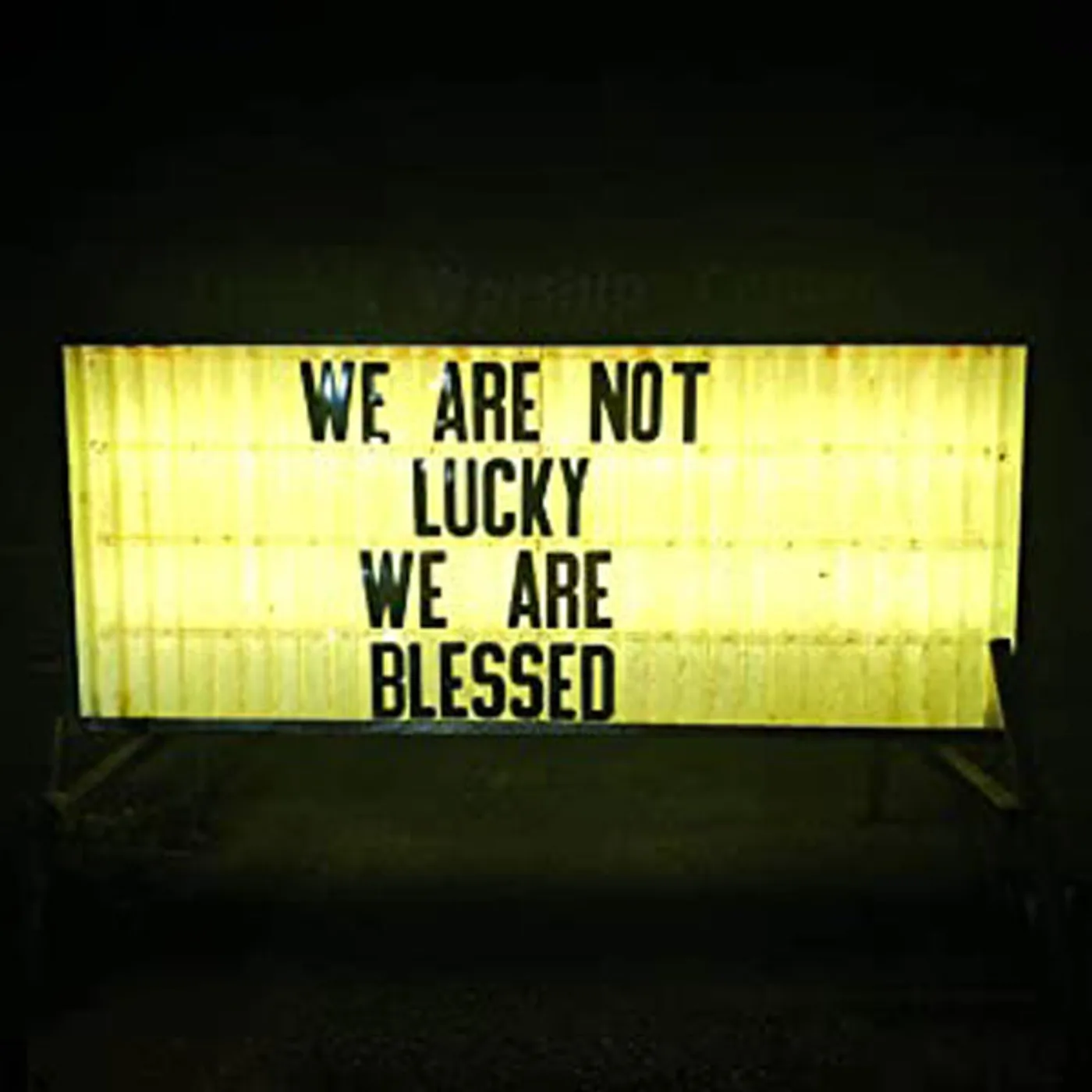 Ben Trickey LP - We Are Not Lucky We Are Blessed (Vinyl)