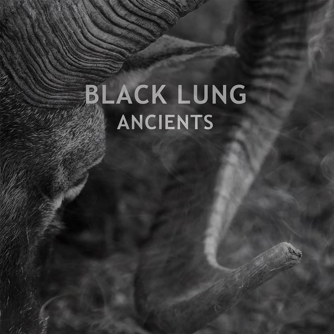 Black Lung LP - Ancients (Vinyl)